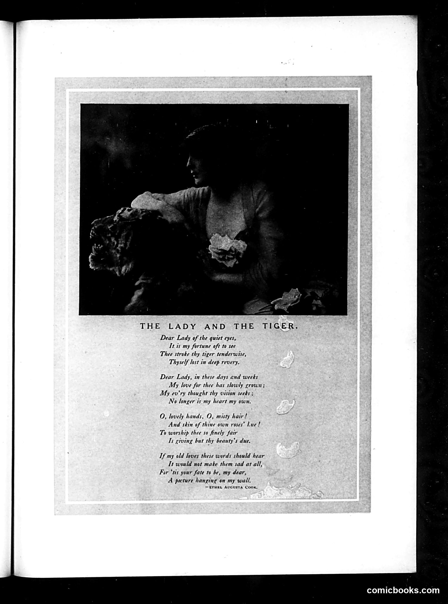 Judge — May 11, 1912 — page 13 of 26