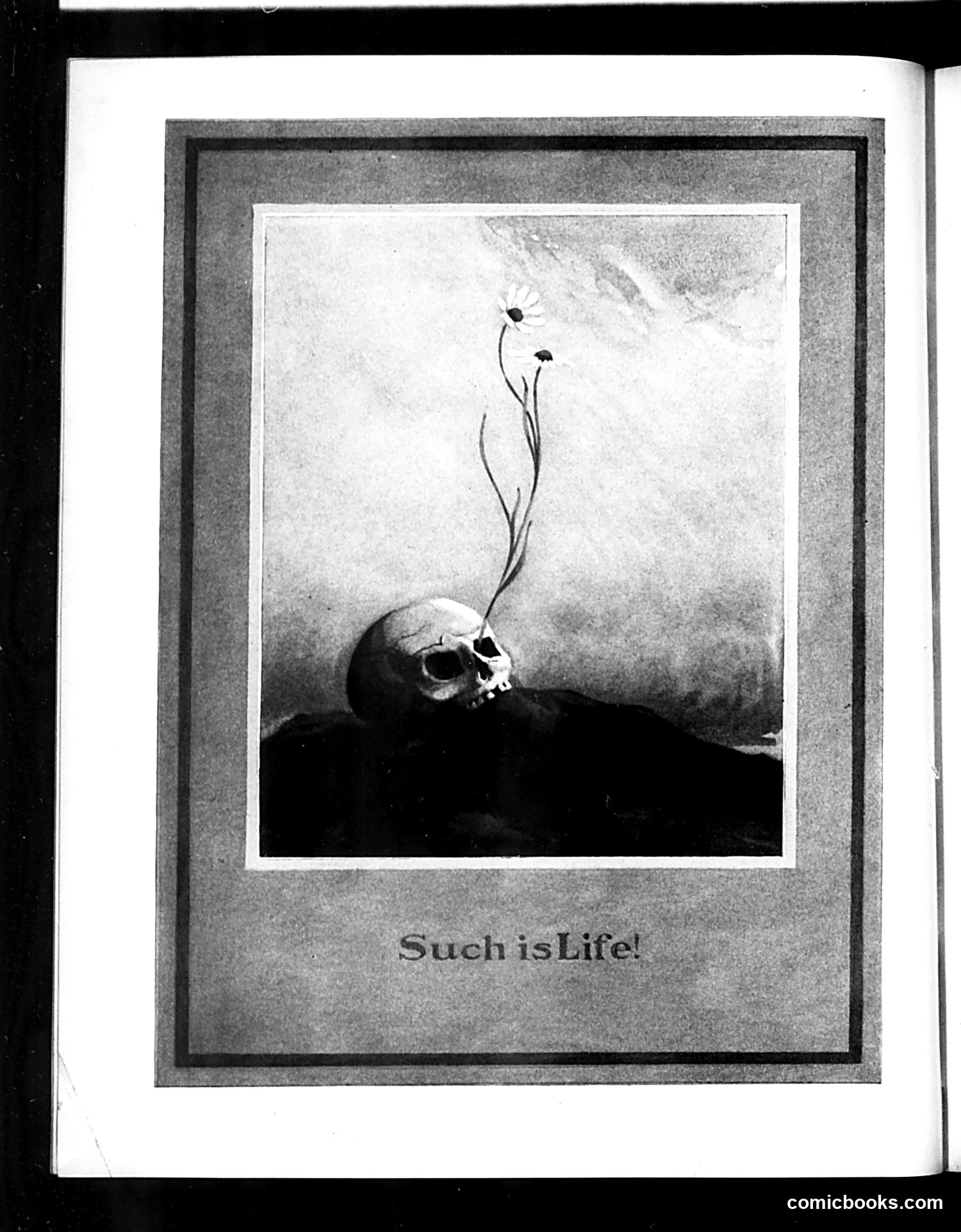 Judge — July 25, 1914 — page 14 of 24