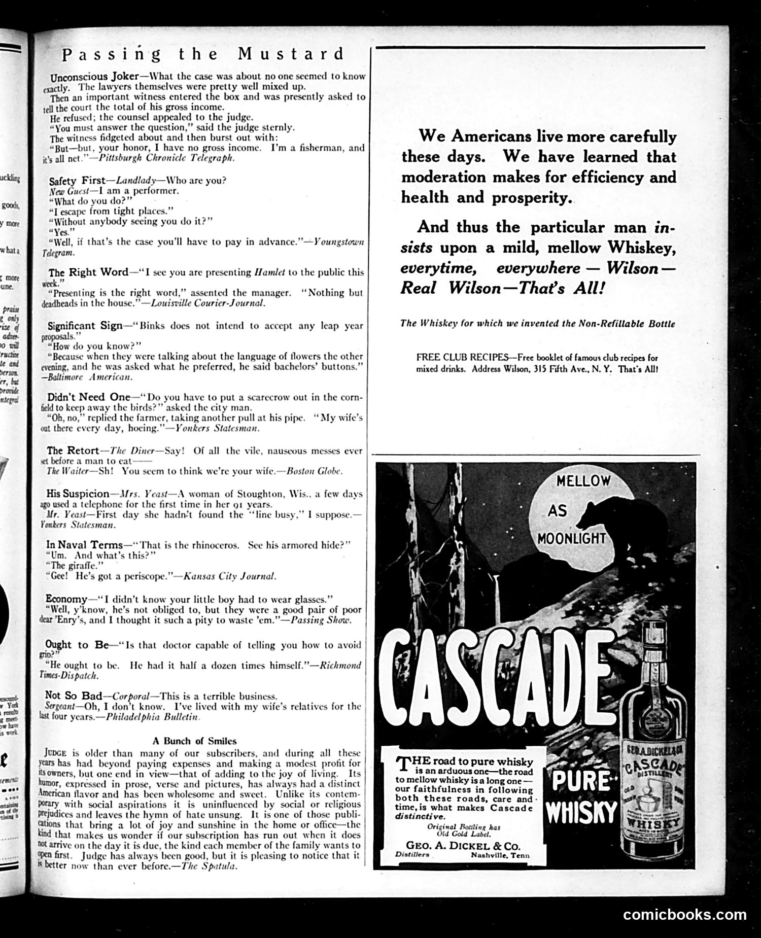 Judge — April 15, 1916 — page 23 of 28