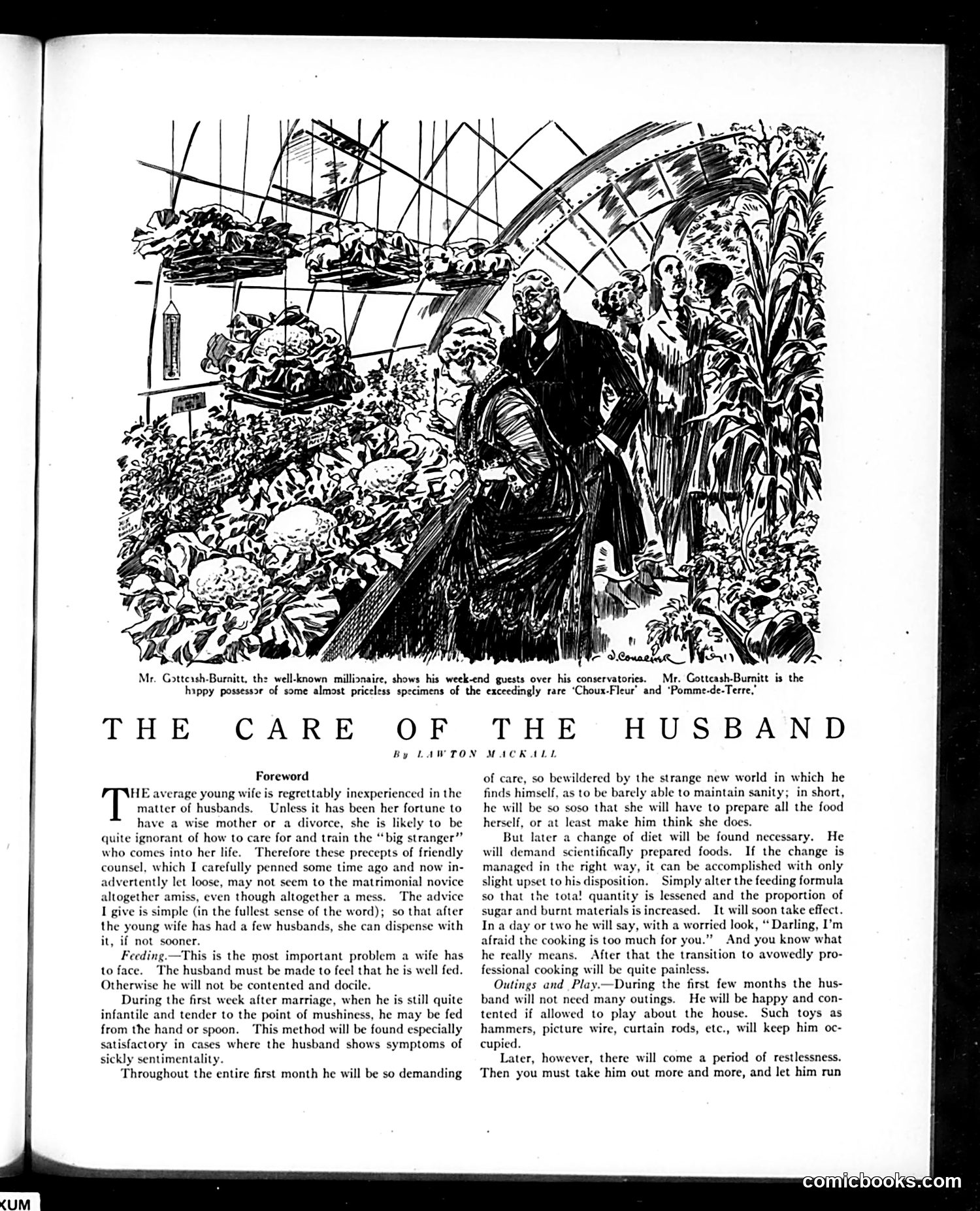 Judge — June 23, 1917 — page 13 of 28
