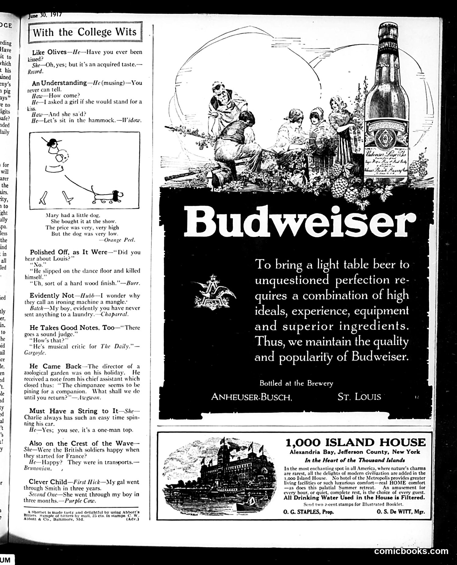 Judge — June 30, 1917 — page 23 of 29