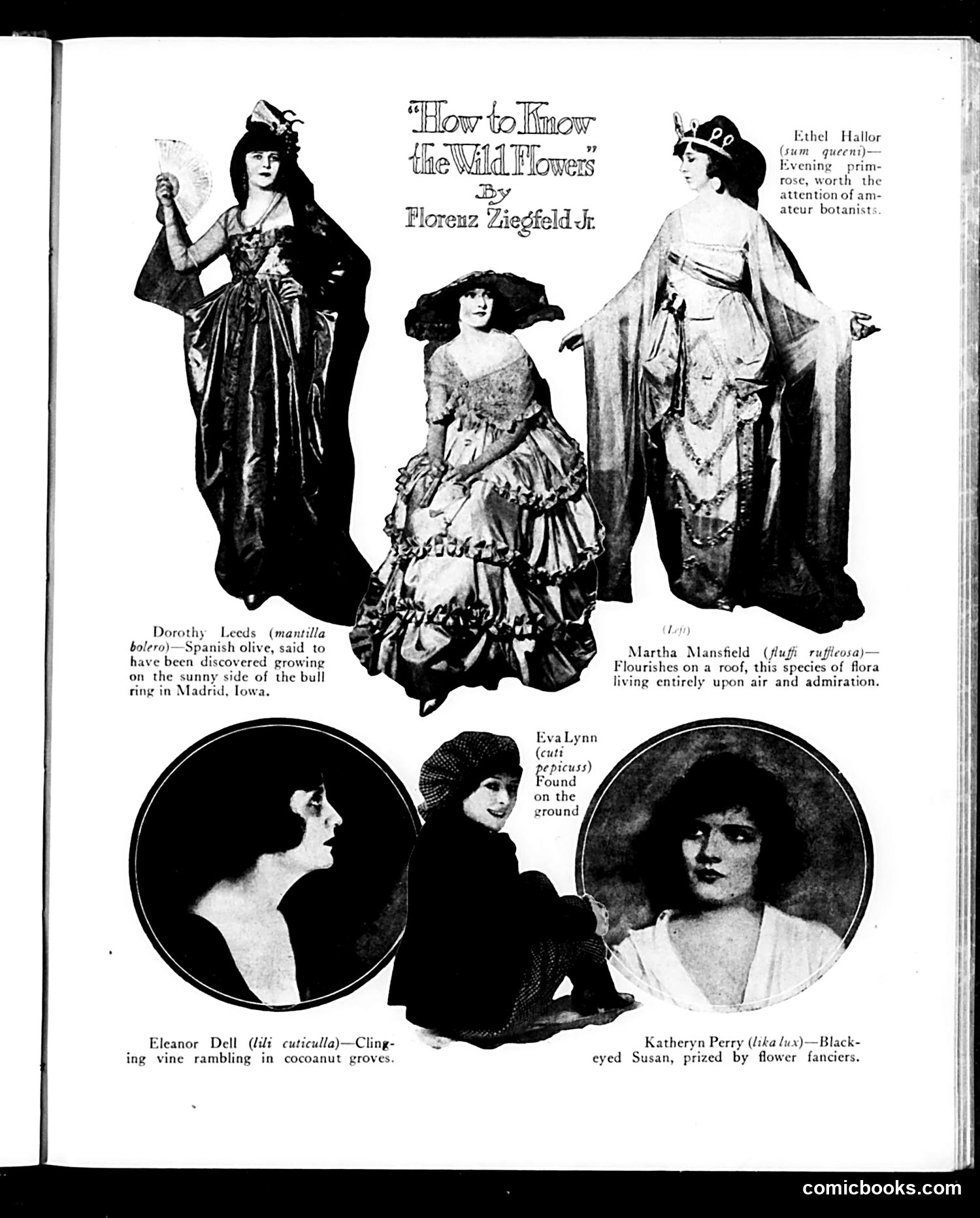 Judge — March 15, 1919 — page 23 of 36