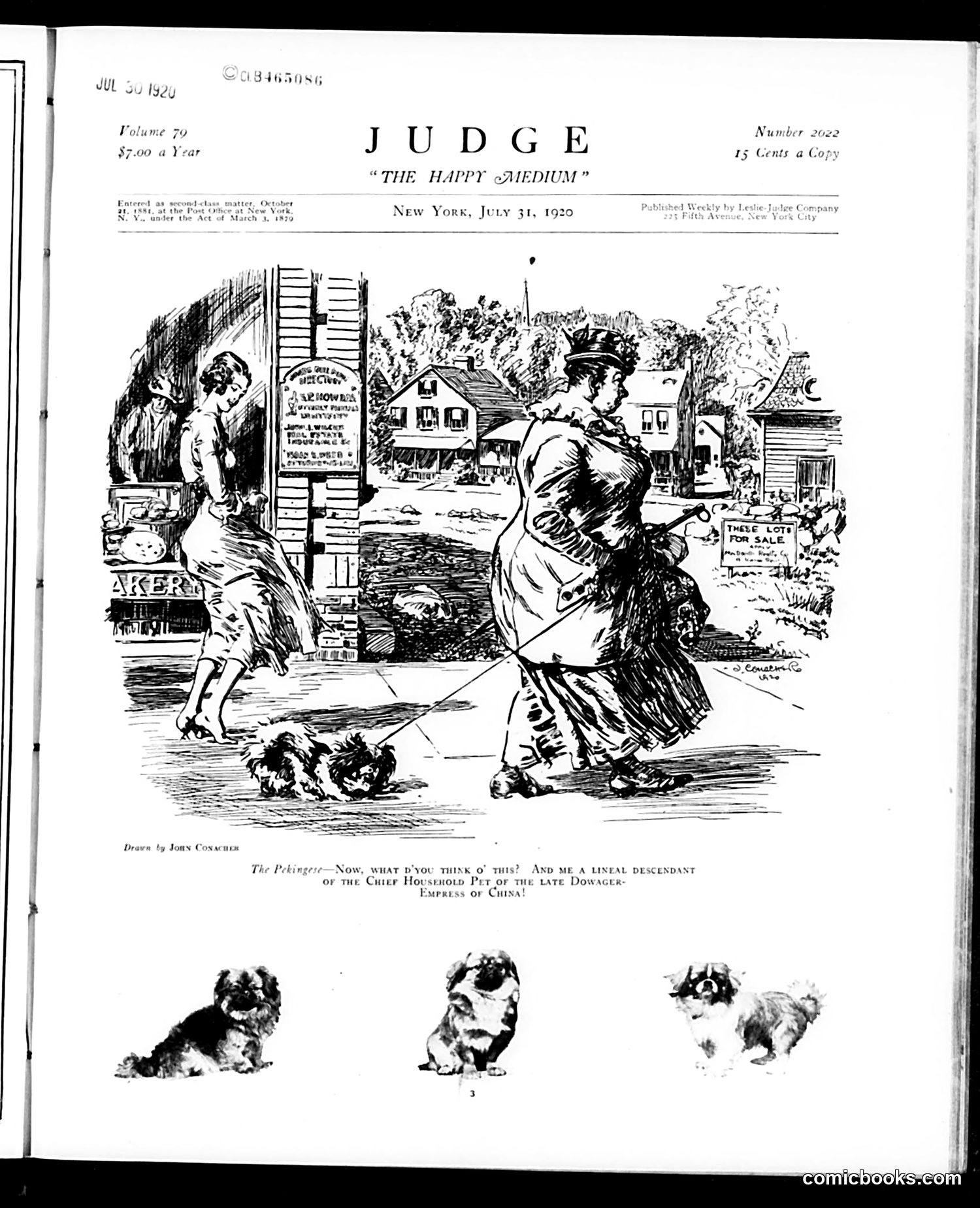 Judge — July 31, 1920 — page 3 of 36