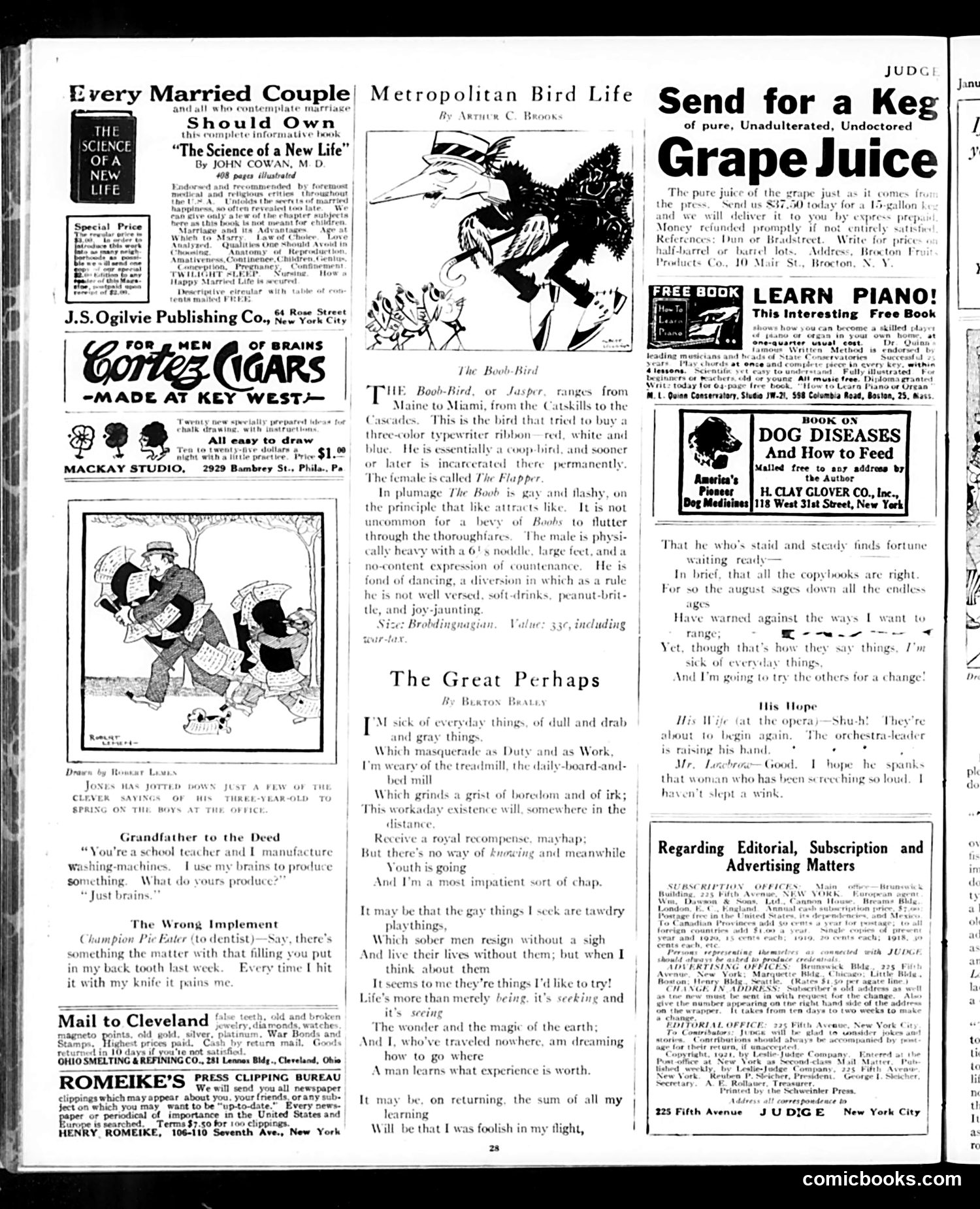 Judge — January 29, 1921 — page 28 of 32