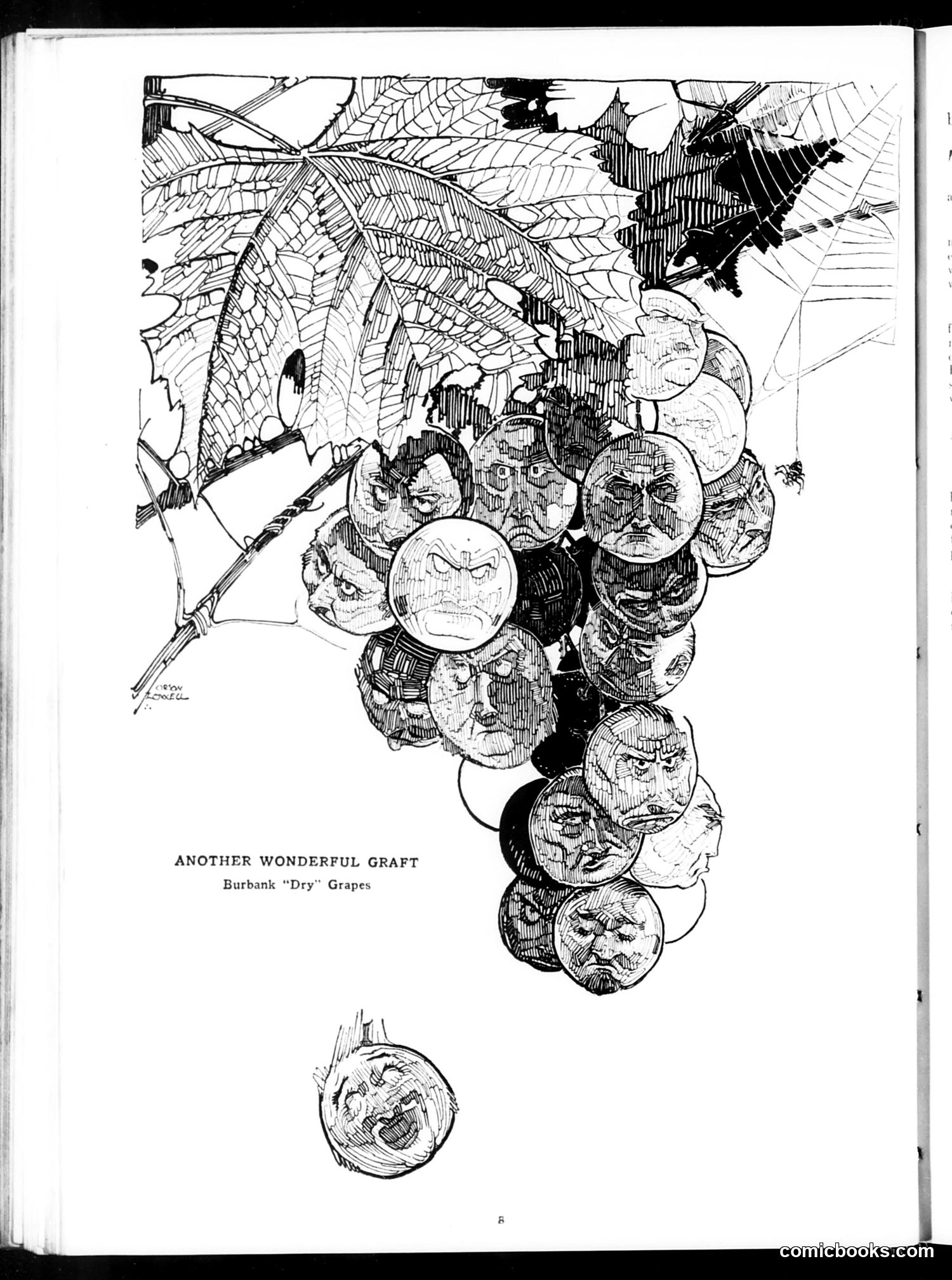 Judge — September 2, 1922 — page 10 of 36