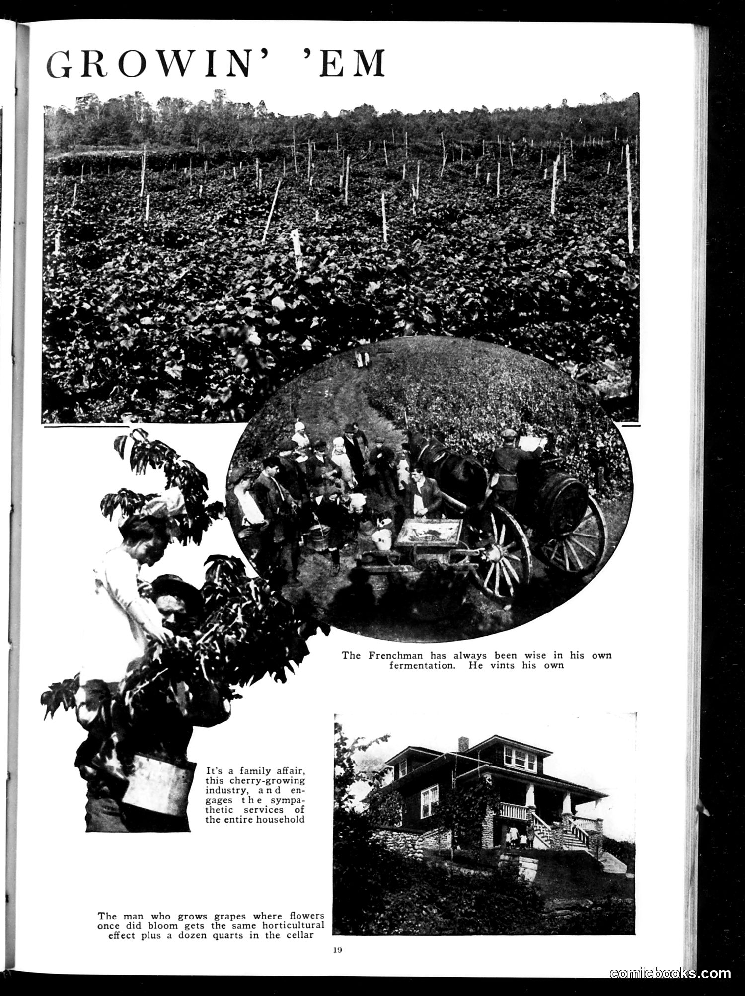 Judge — October 21, 1922 — page 21 of 36