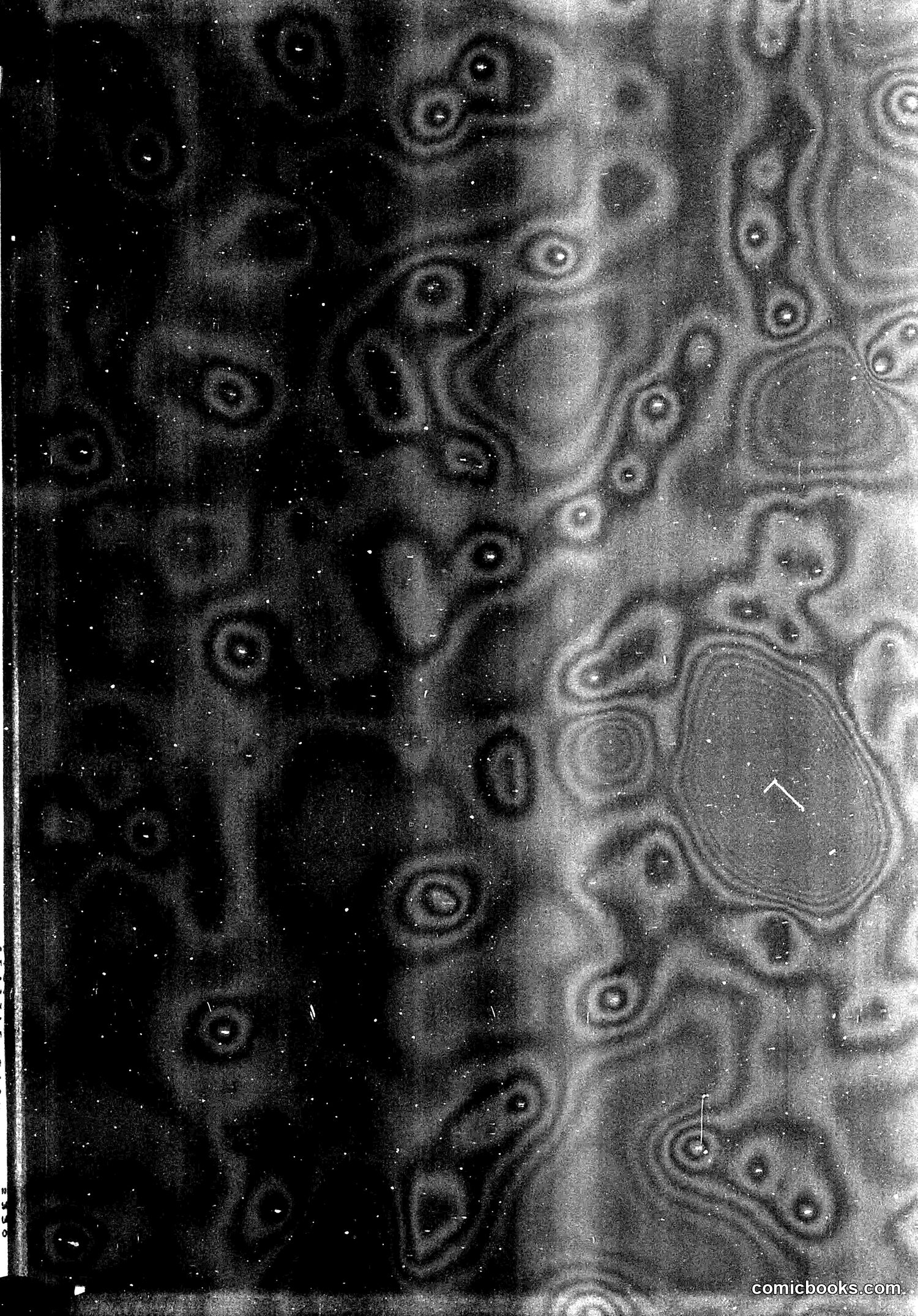 Judge — November 14, 1925 — page 37 of 37