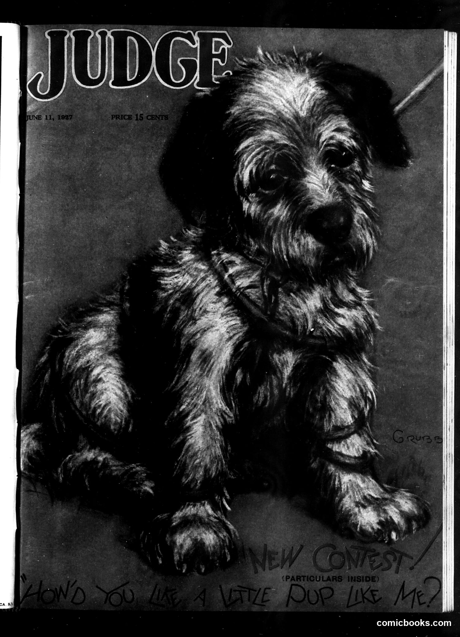 Judge — June 11, 1927