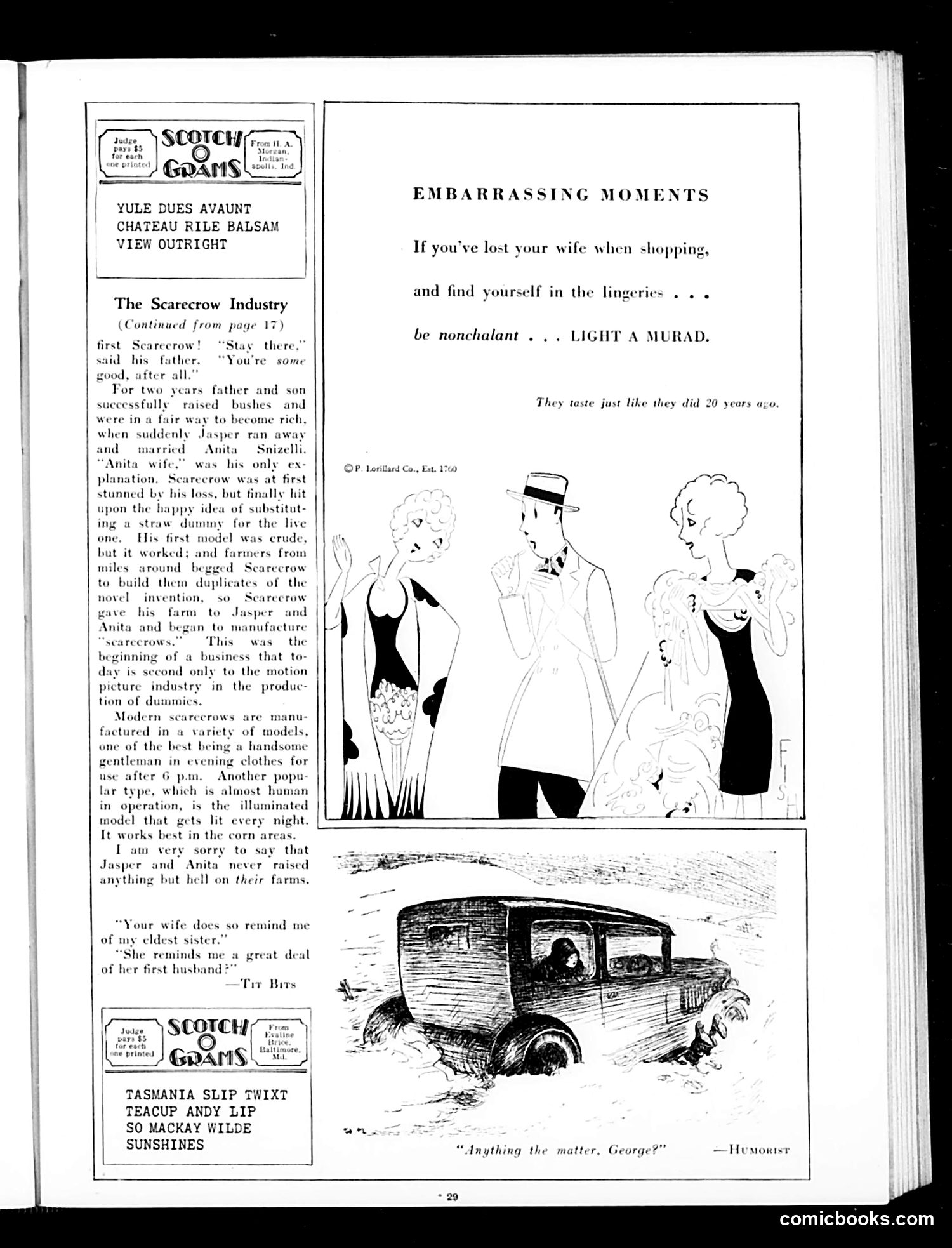 Judge — January 19, 1929 — page 31 of 36