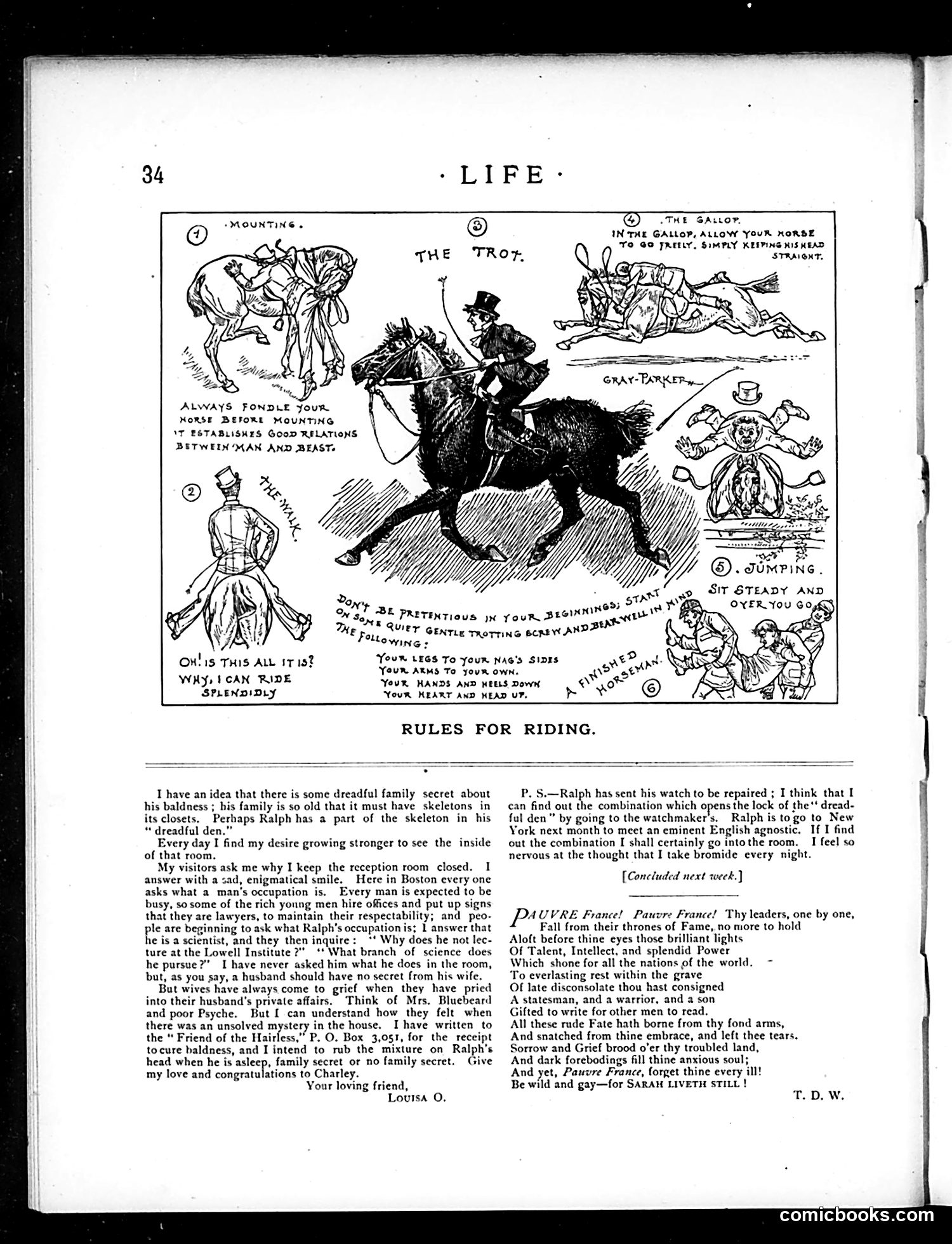 Life — January 18, 1883 — page 12 of 16