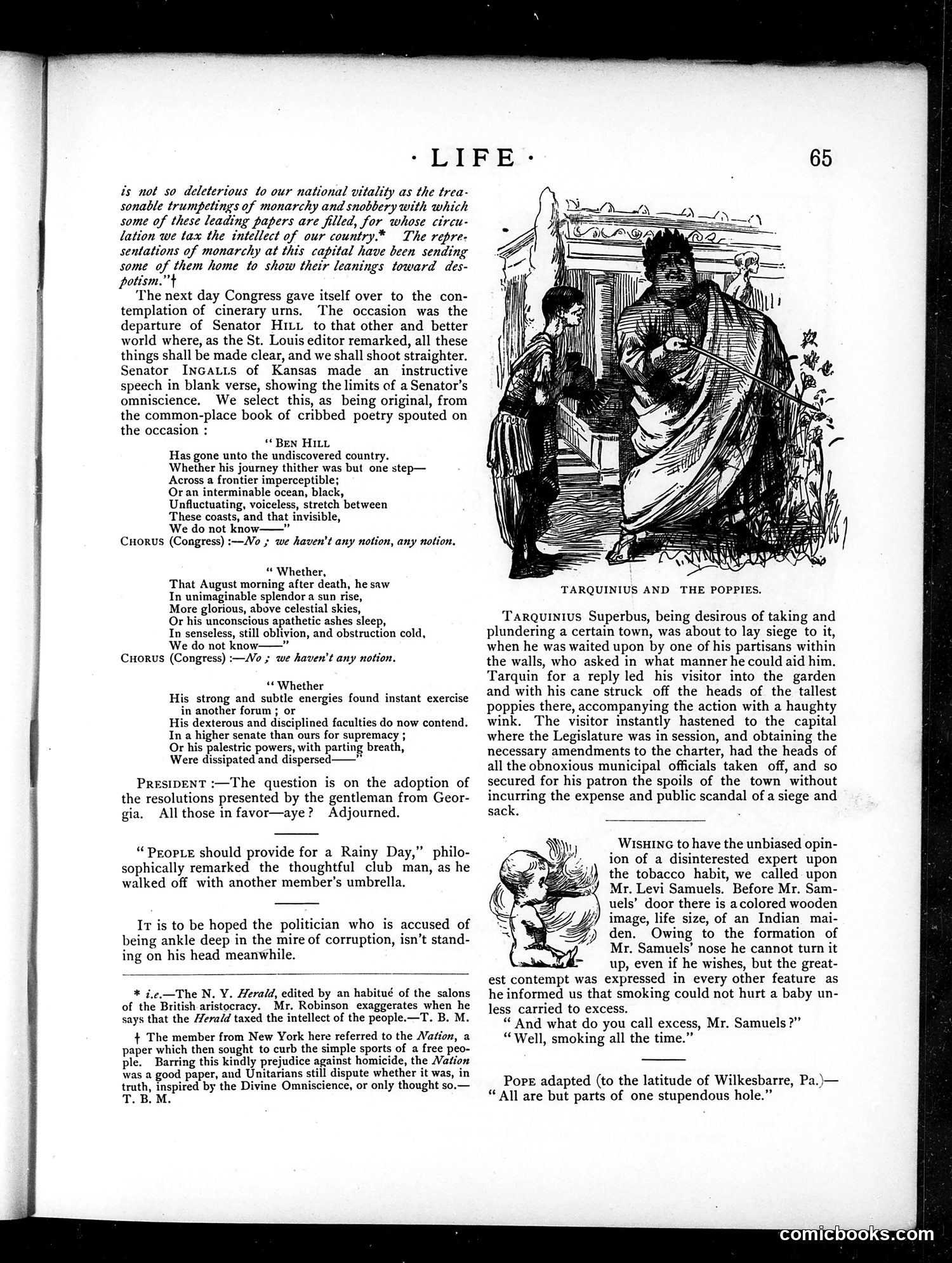 Life — February 8, 1883 — page 7 of 16