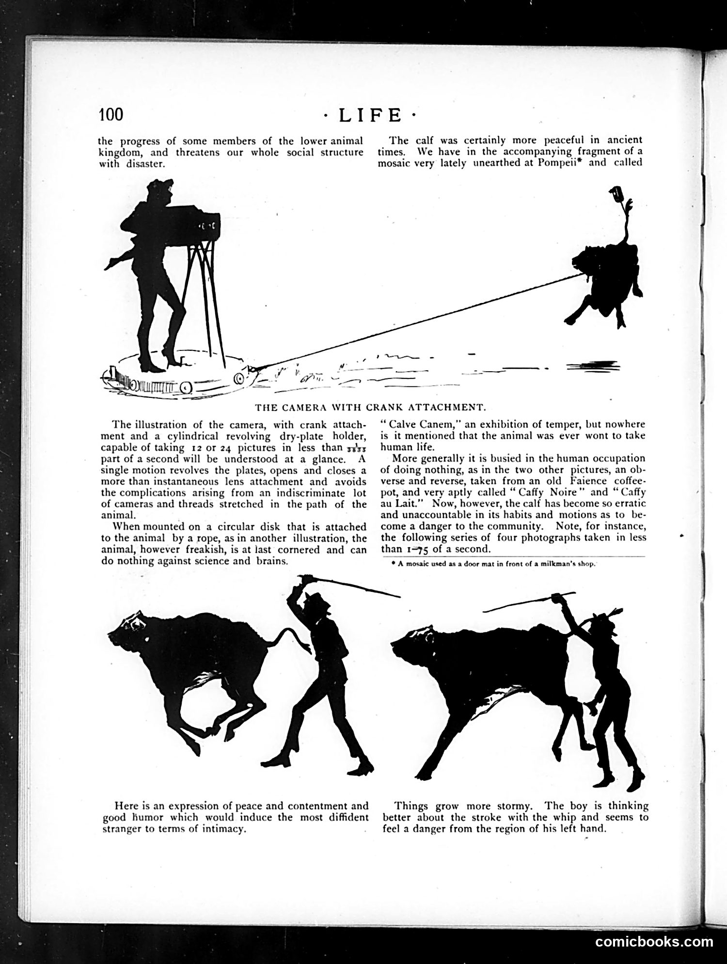 Life — March 1, 1883 — page 6 of 16