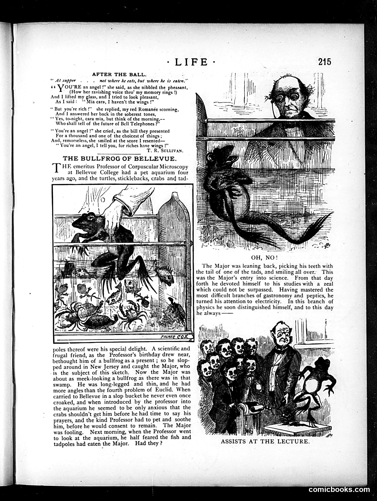 Life — May 3, 1883 — page 13 of 16
