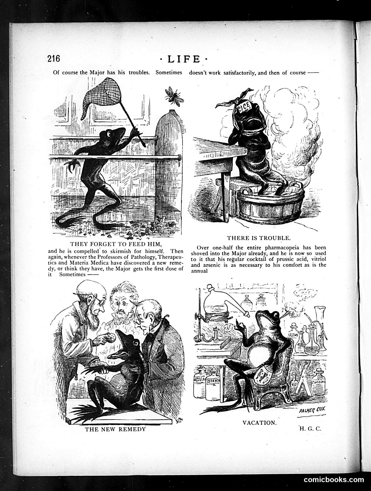 Life — May 3, 1883 — page 14 of 16