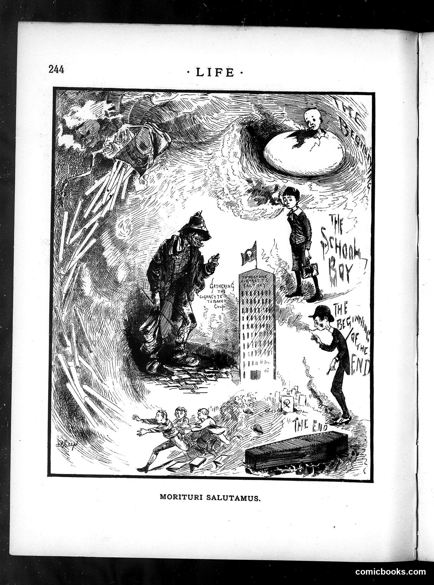 Life — May 24, 1883 — page 6 of 16