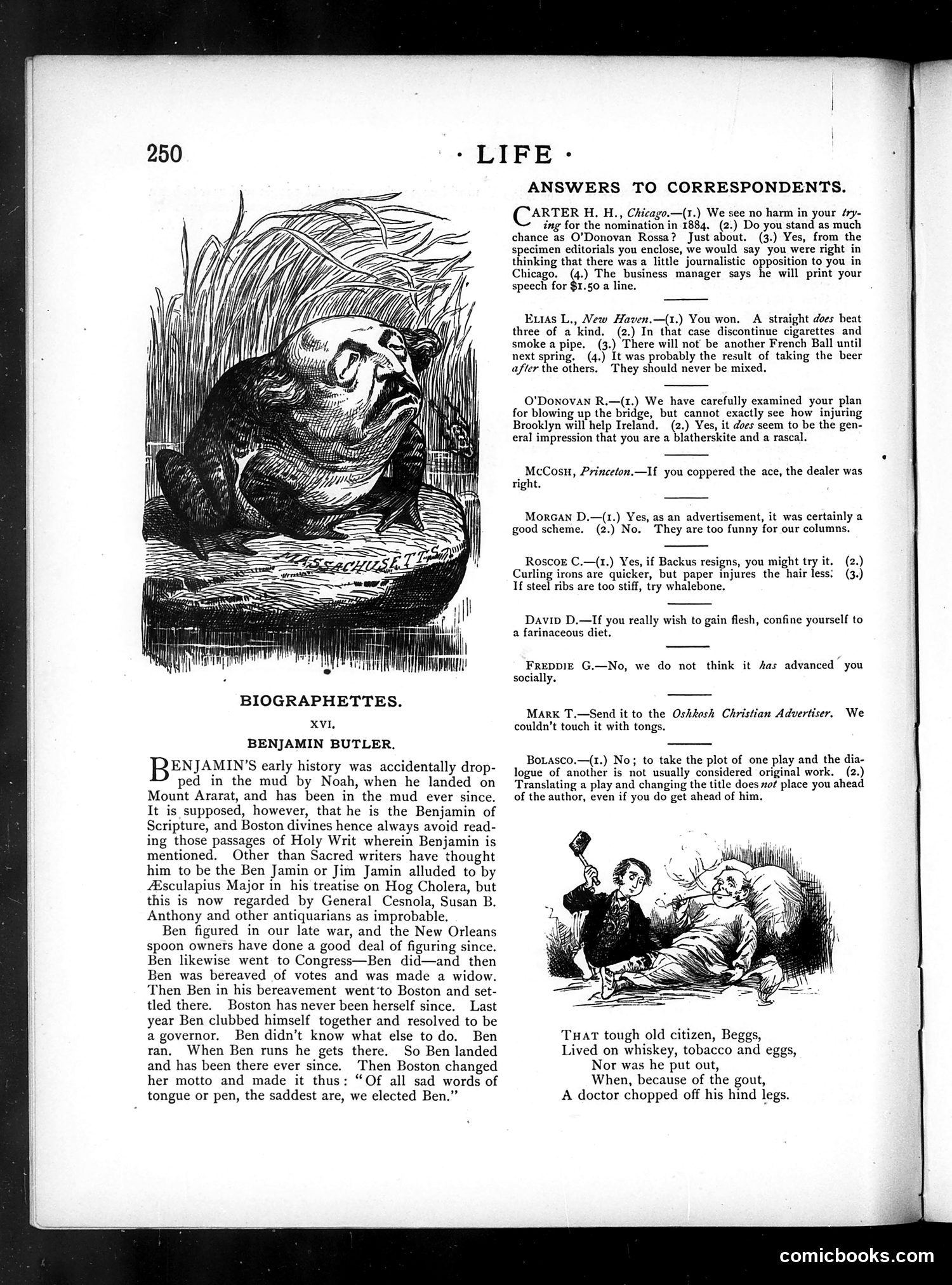Life — May 24, 1883 — page 12 of 16