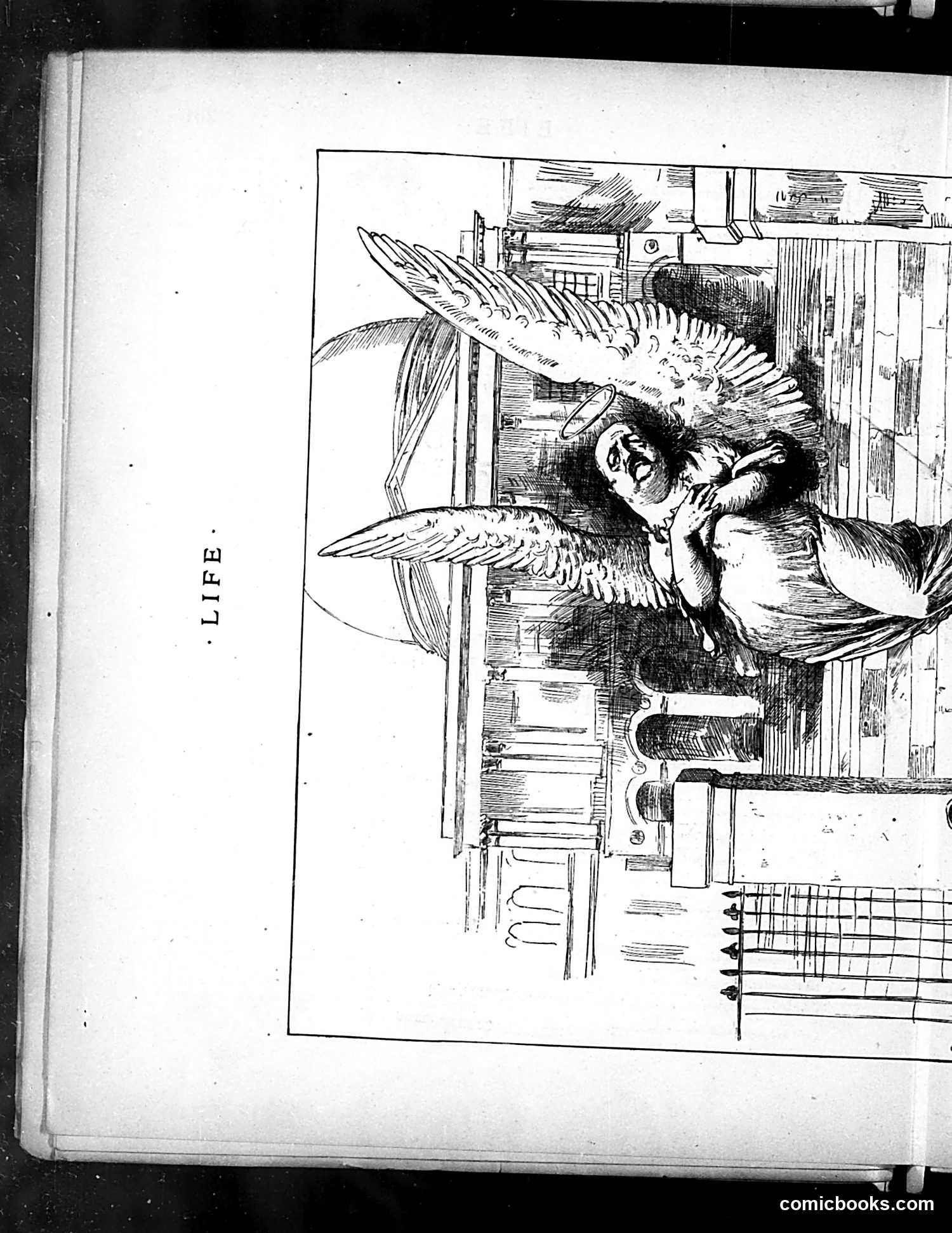 Life — June 14, 1883 — page 8 of 16