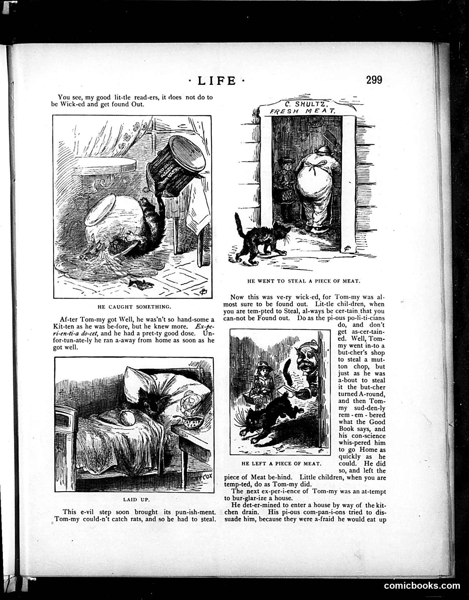 Life — June 21, 1883 — page 13 of 16