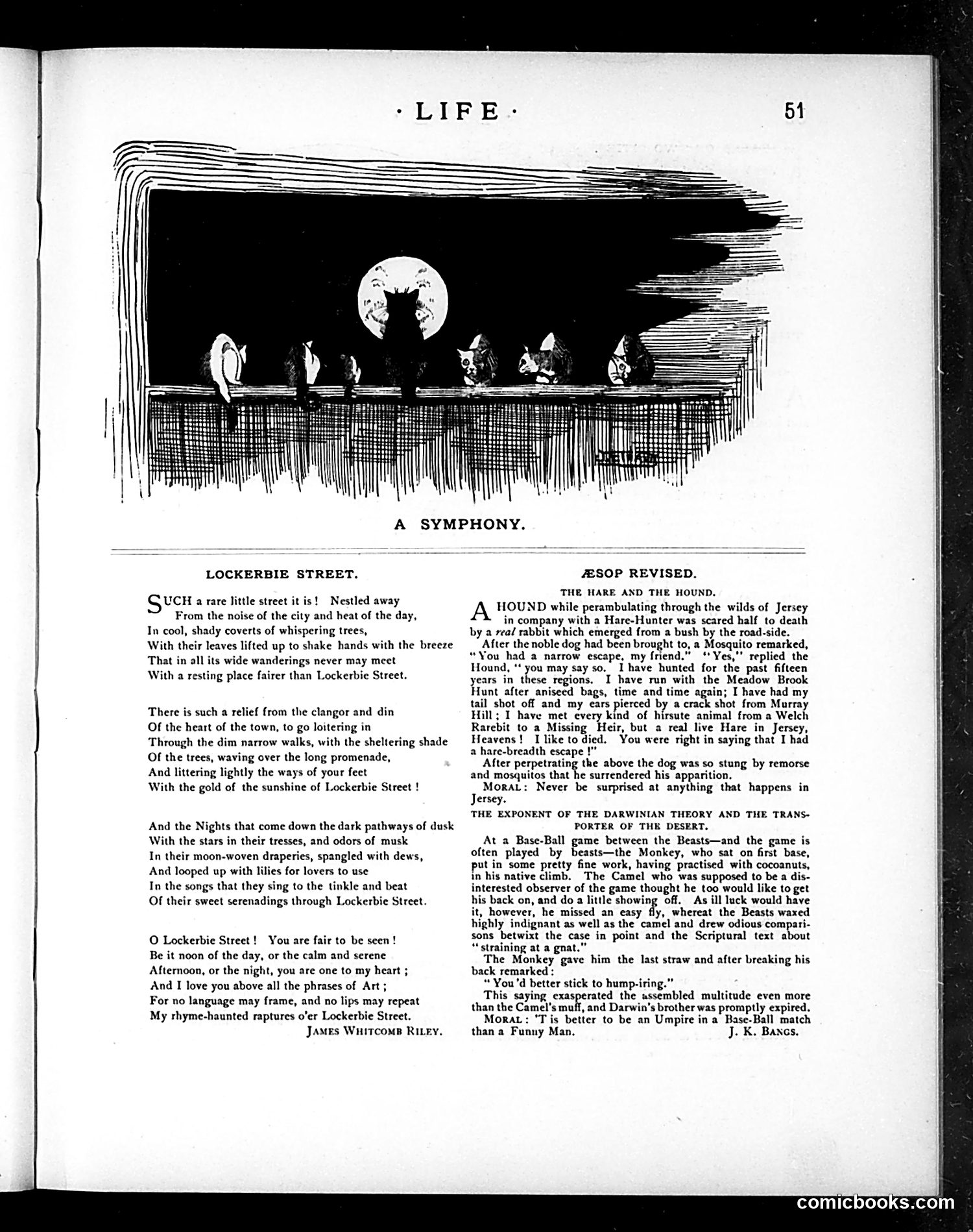 Life — August 2, 1883 — page 5 of 16