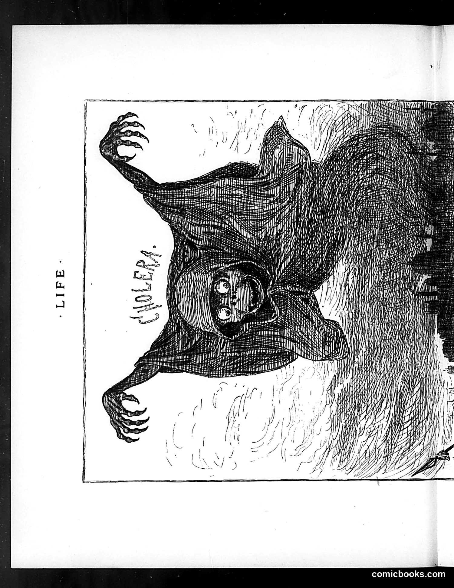 Life — August 2, 1883 — page 8 of 16