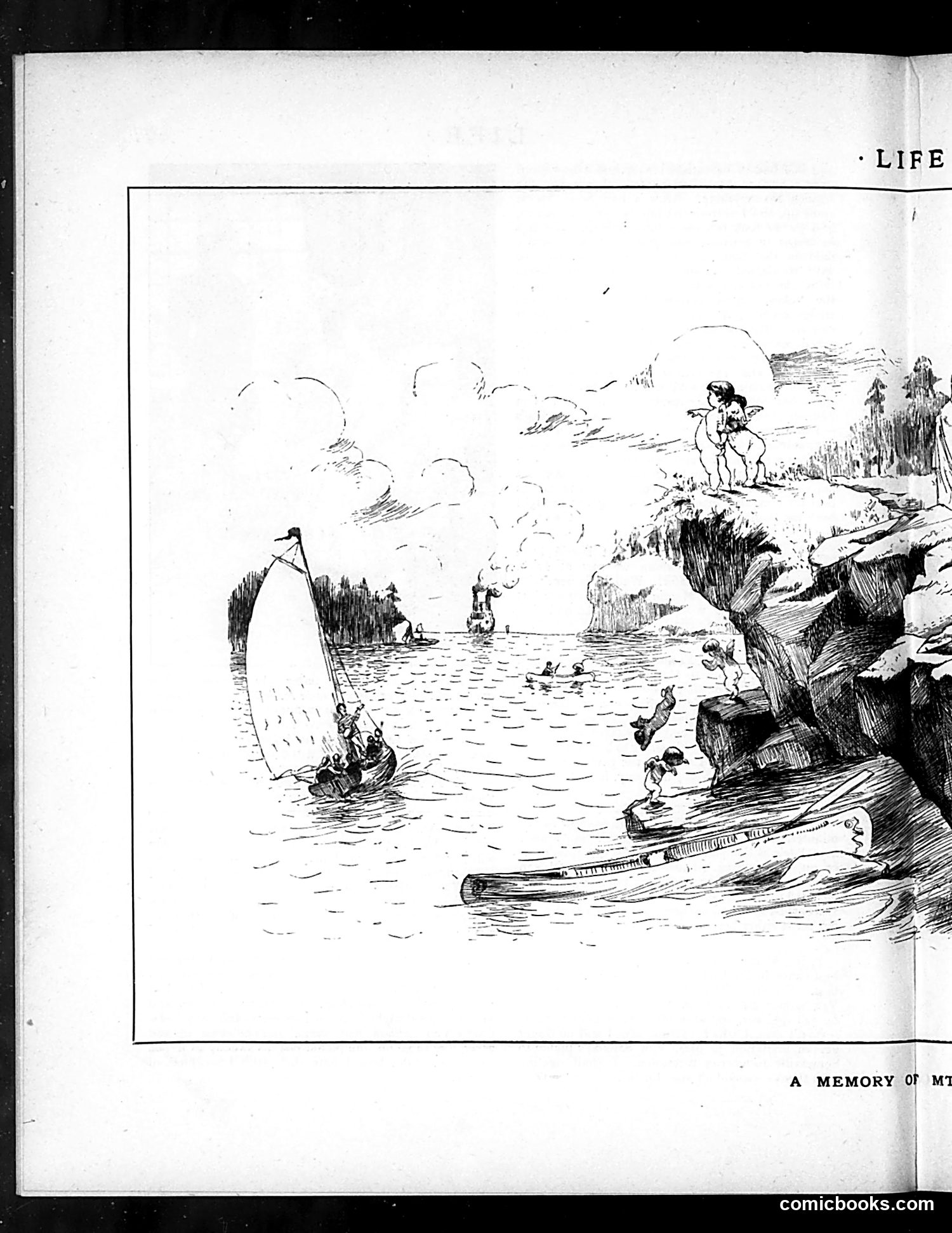 Life — August 16, 1883 — page 8 of 16