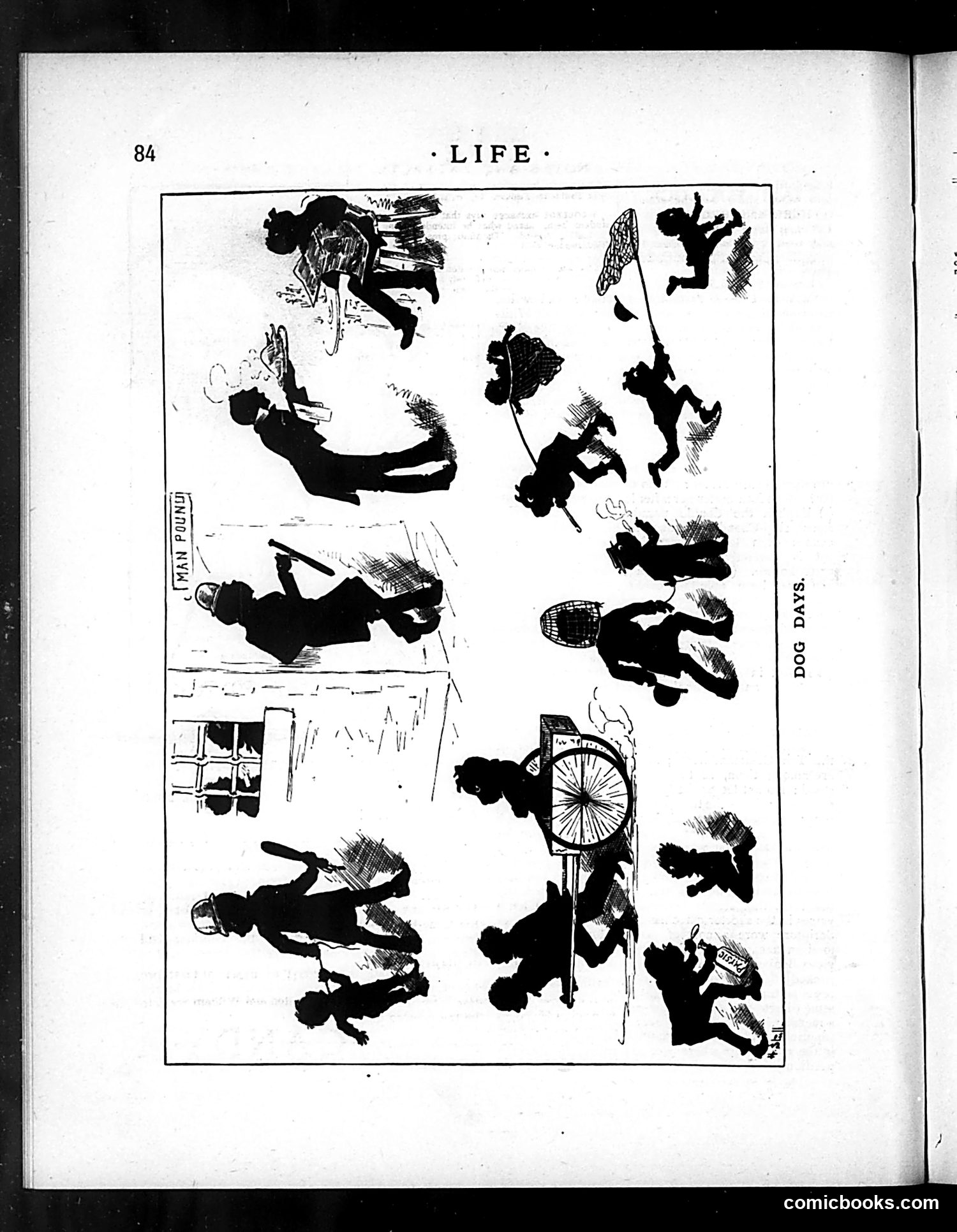 Life — August 16, 1883 — page 14 of 16