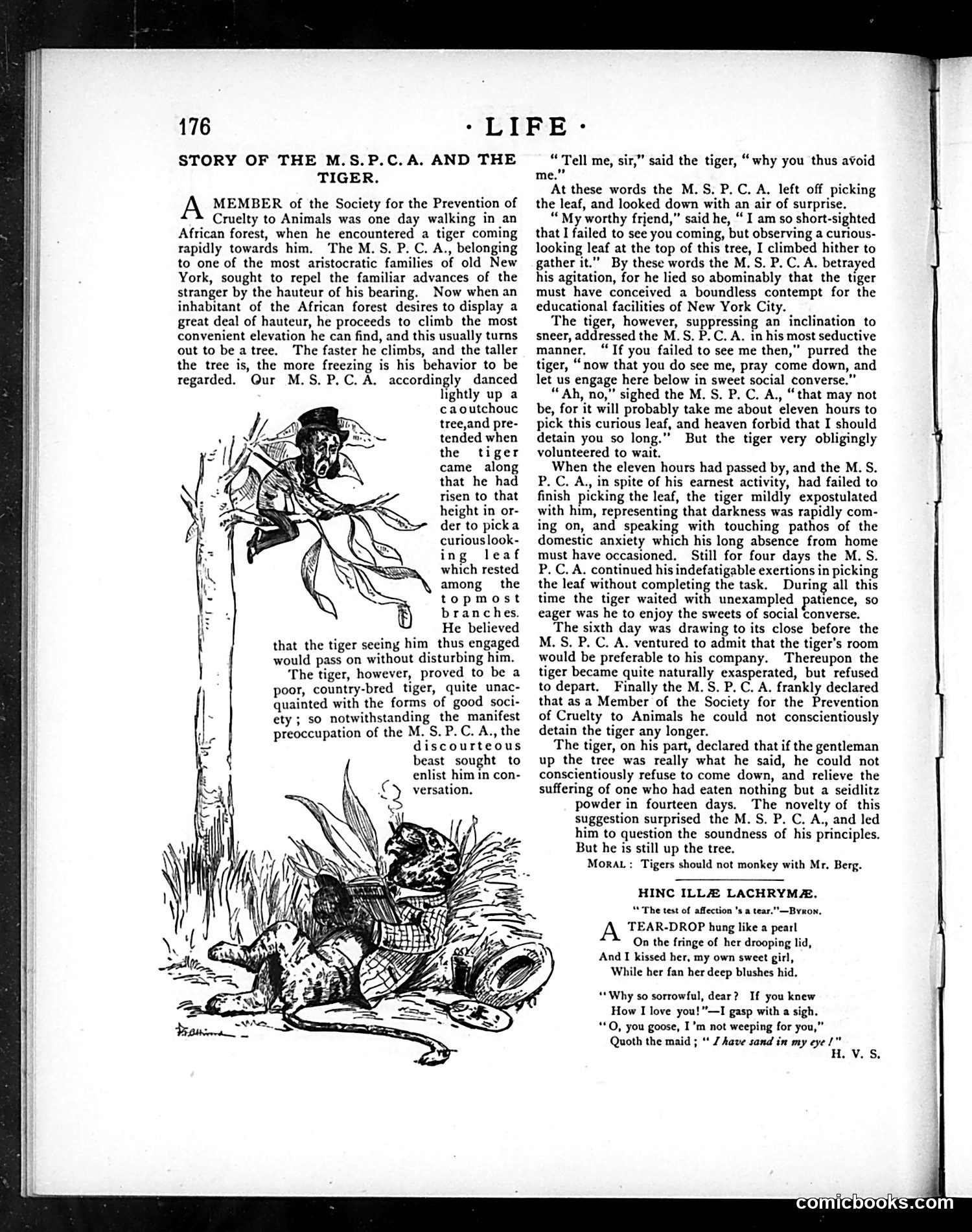 Life — October 11, 1883 — page 6 of 16