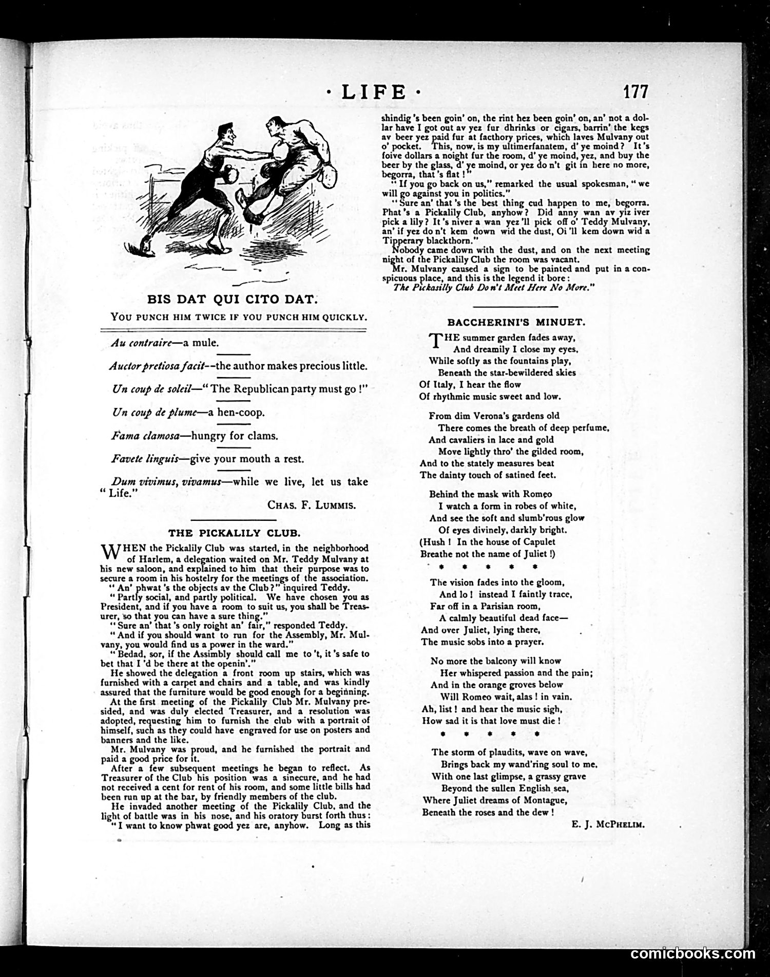 Life — October 11, 1883 — page 7 of 16