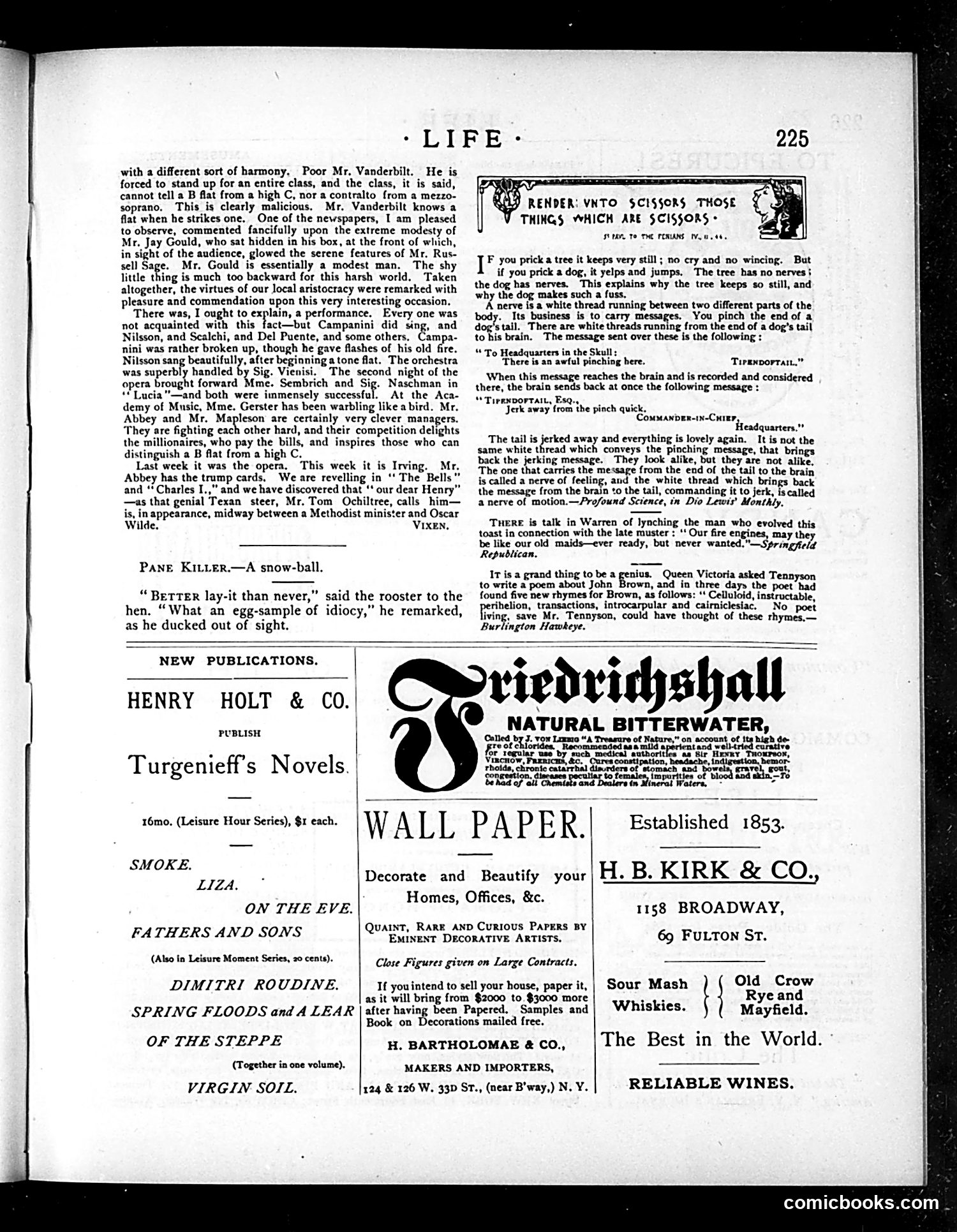Life — November 1, 1883 — page 13 of 16