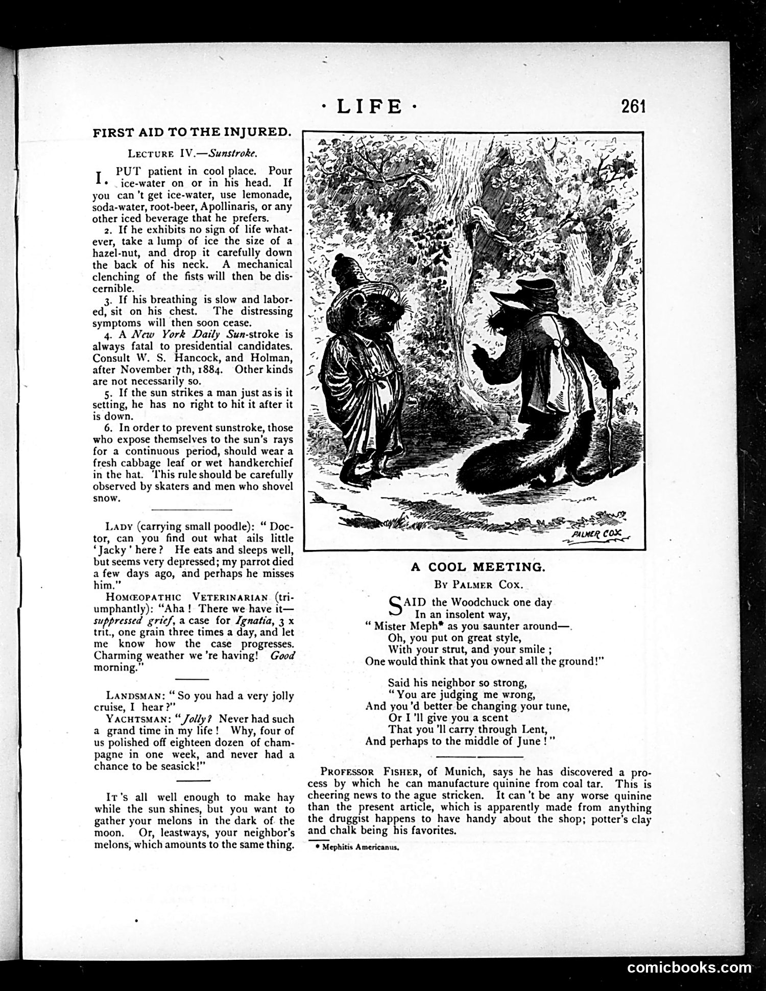 Life — November 22, 1883 — page 7 of 16