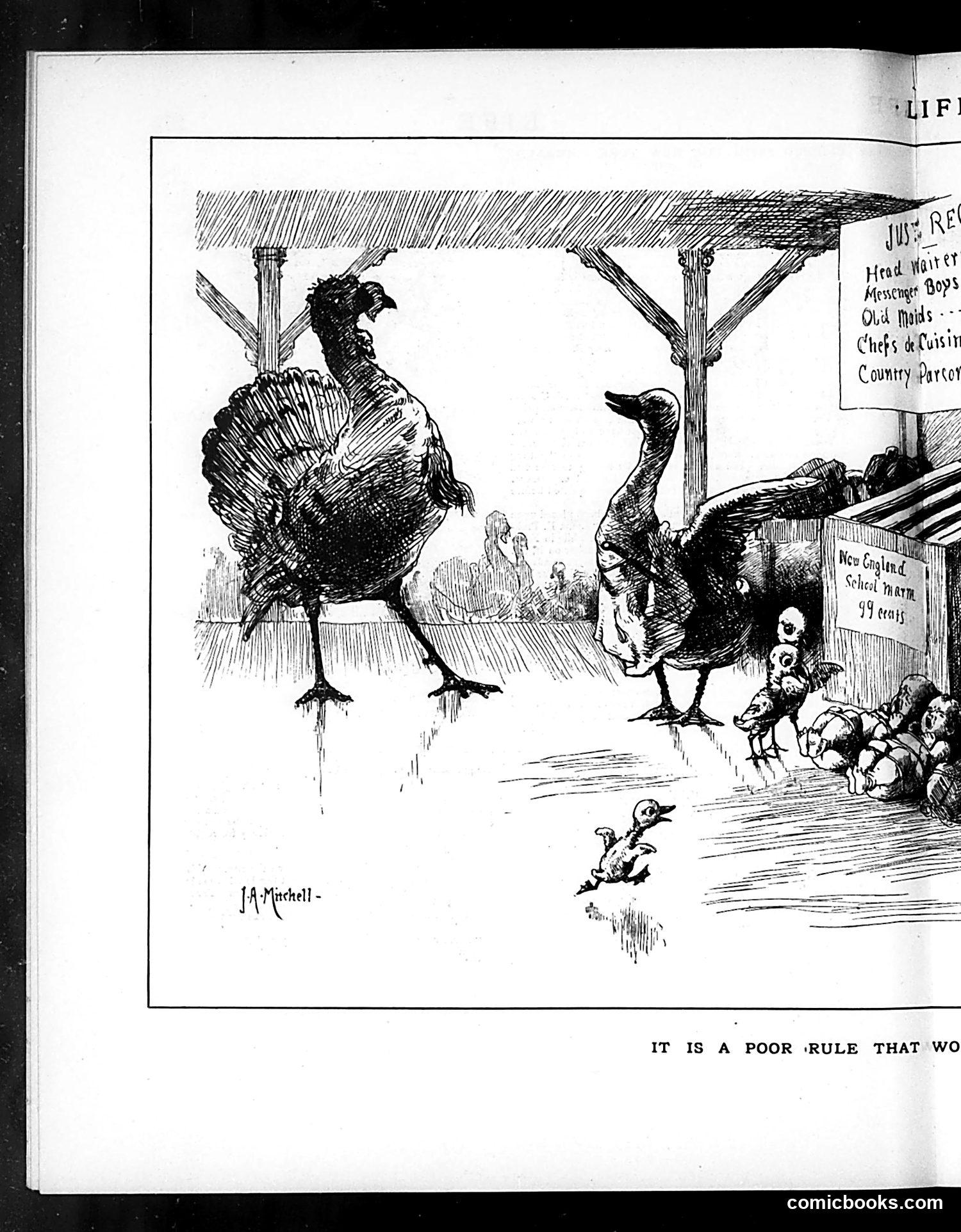 Life — November 29, 1883 — page 8 of 16