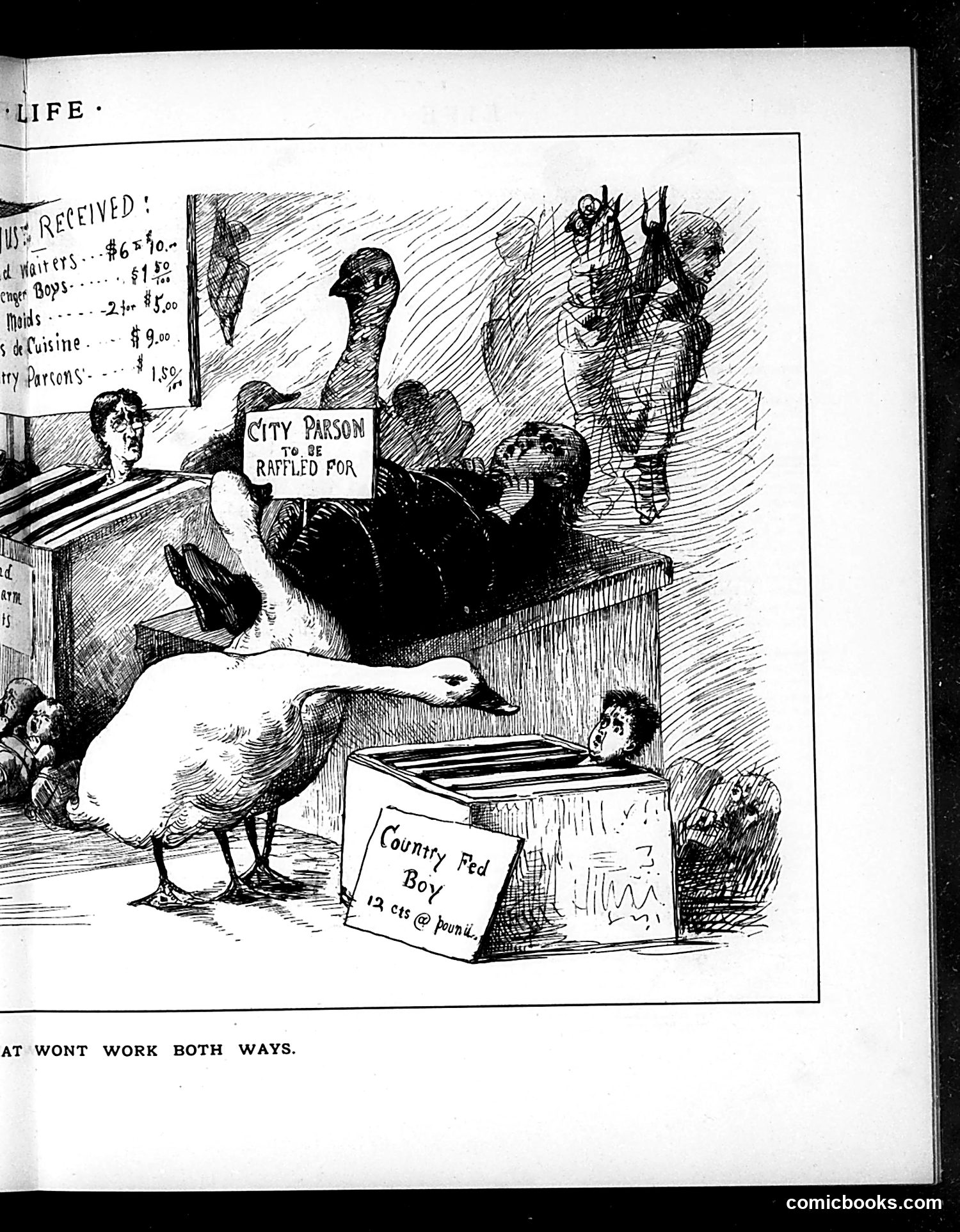 Life — November 29, 1883 — page 9 of 16