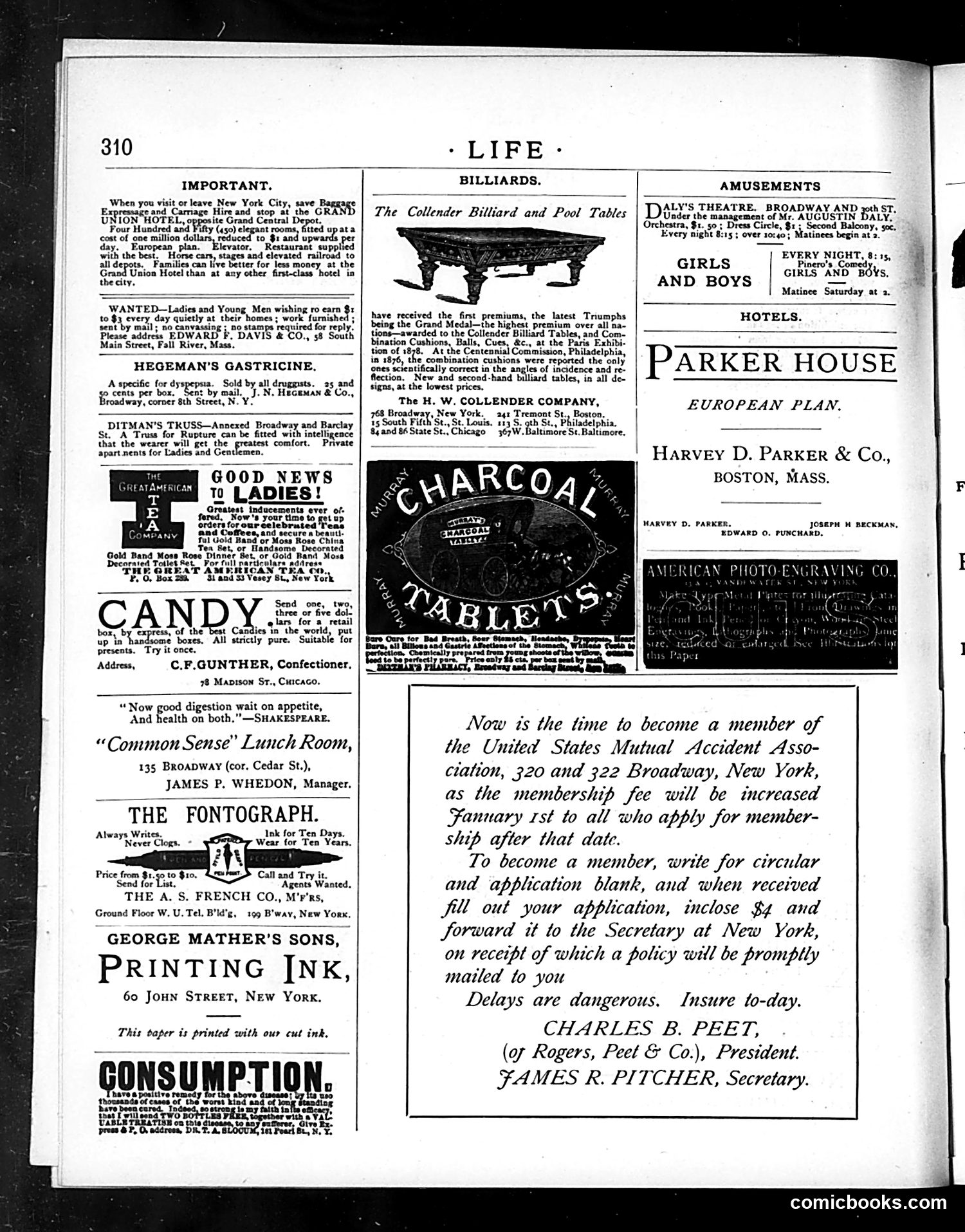 Life — December 13, 1883 — page 14 of 16