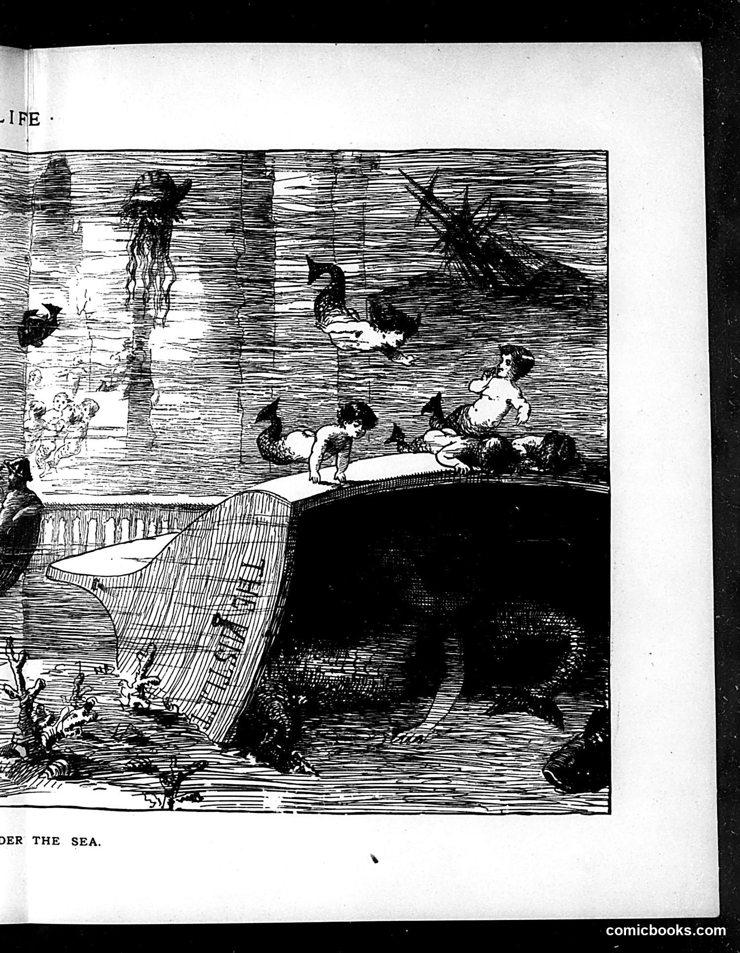 Life — December 20, 1883 — page 13 of 24