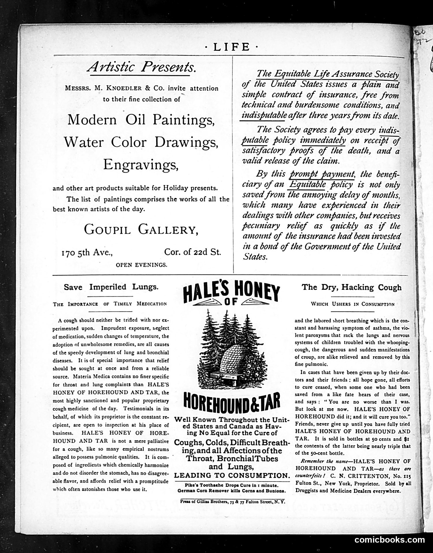Life — December 20, 1883 — page 24 of 24
