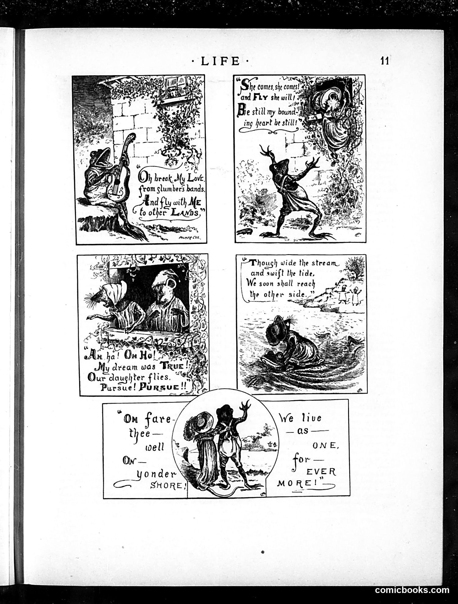 Life — January 3, 1884 — page 11 of 19