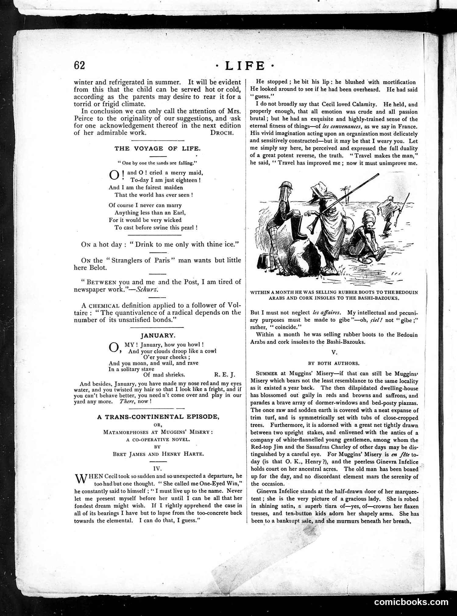 Life — January 31, 1884 — page 8 of 18