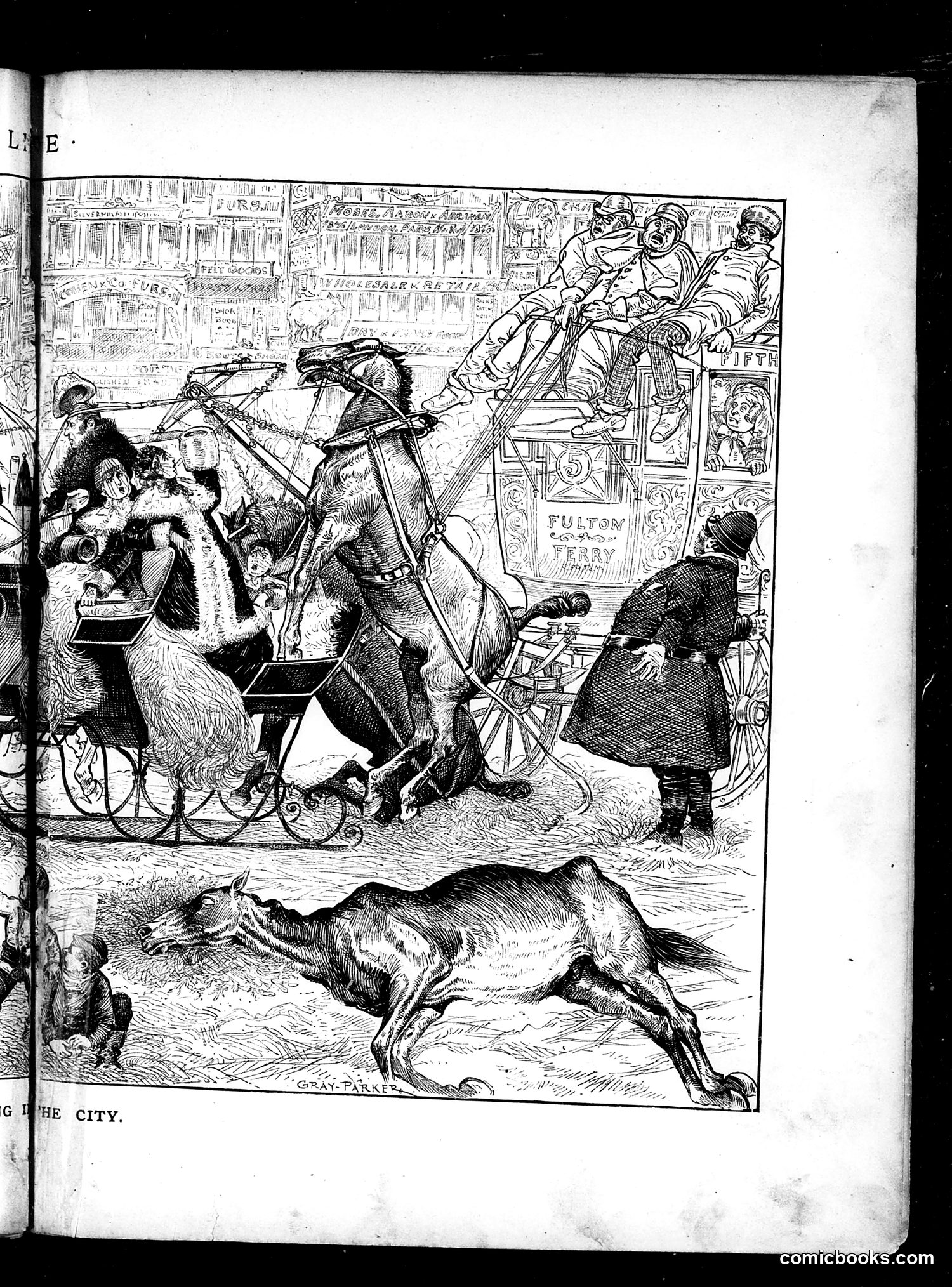 Life — January 31, 1884 — page 11 of 18