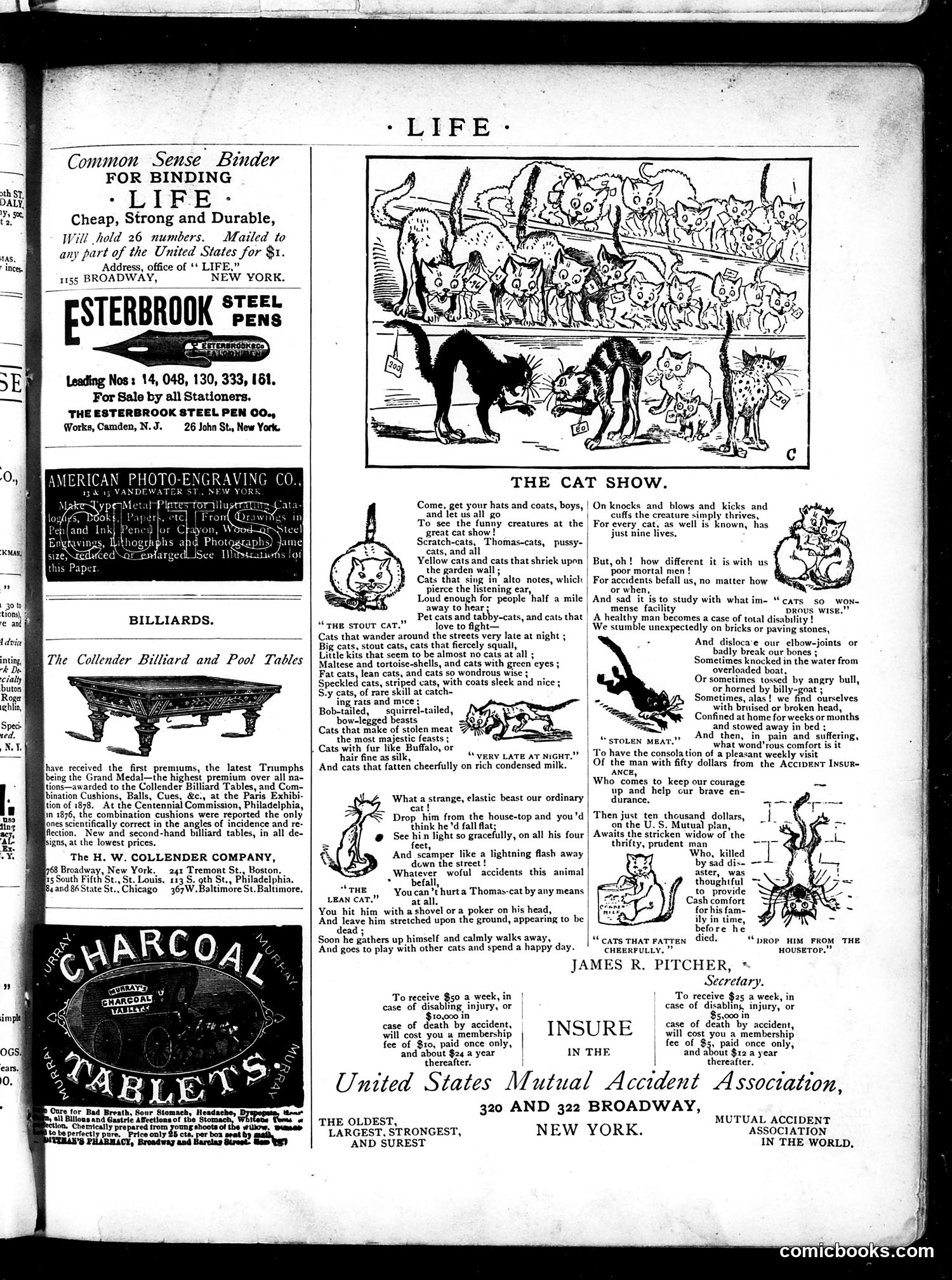 Life — January 31, 1884 — page 17 of 18
