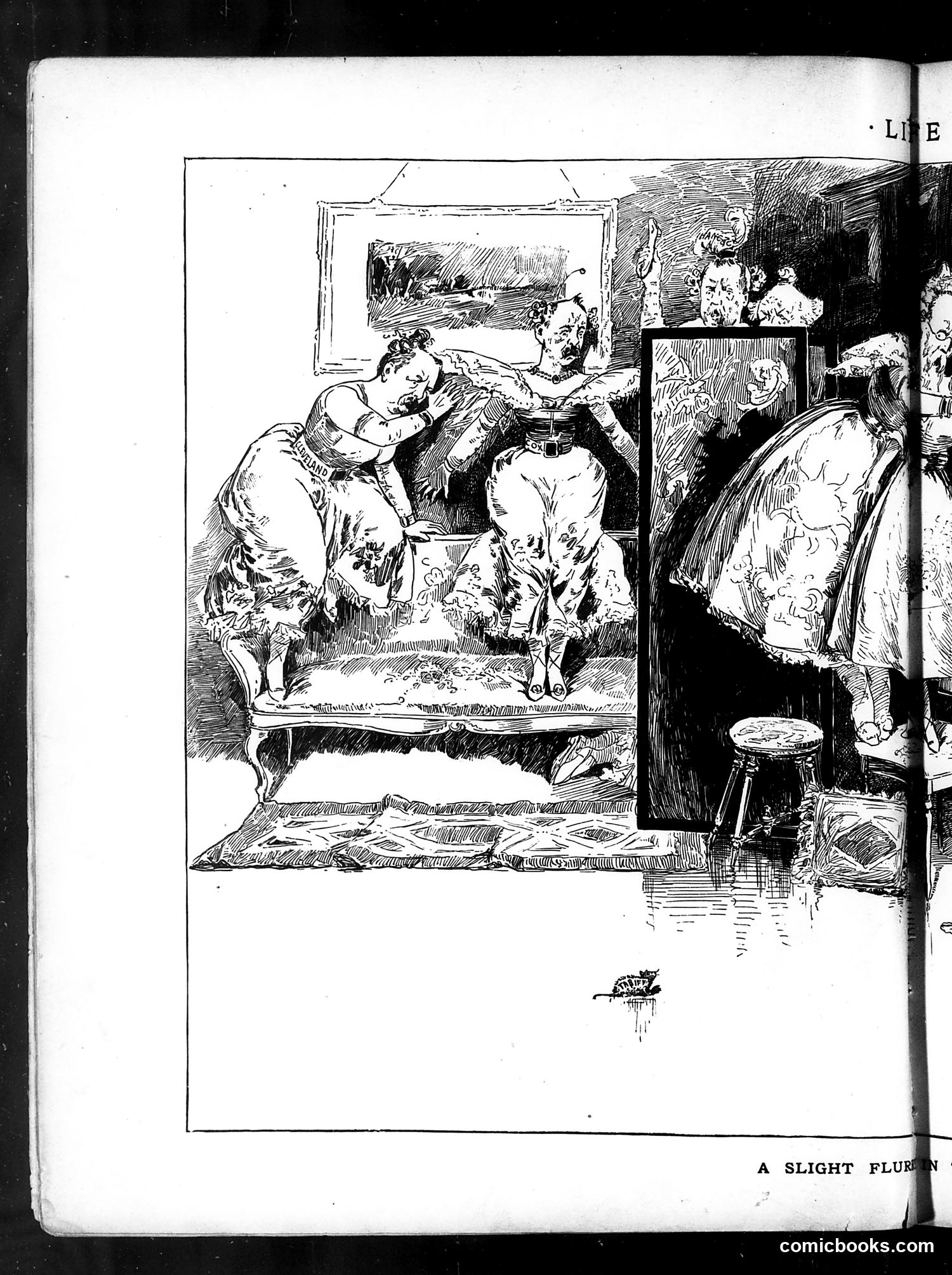Life — February 7, 1884 — page 8 of 16