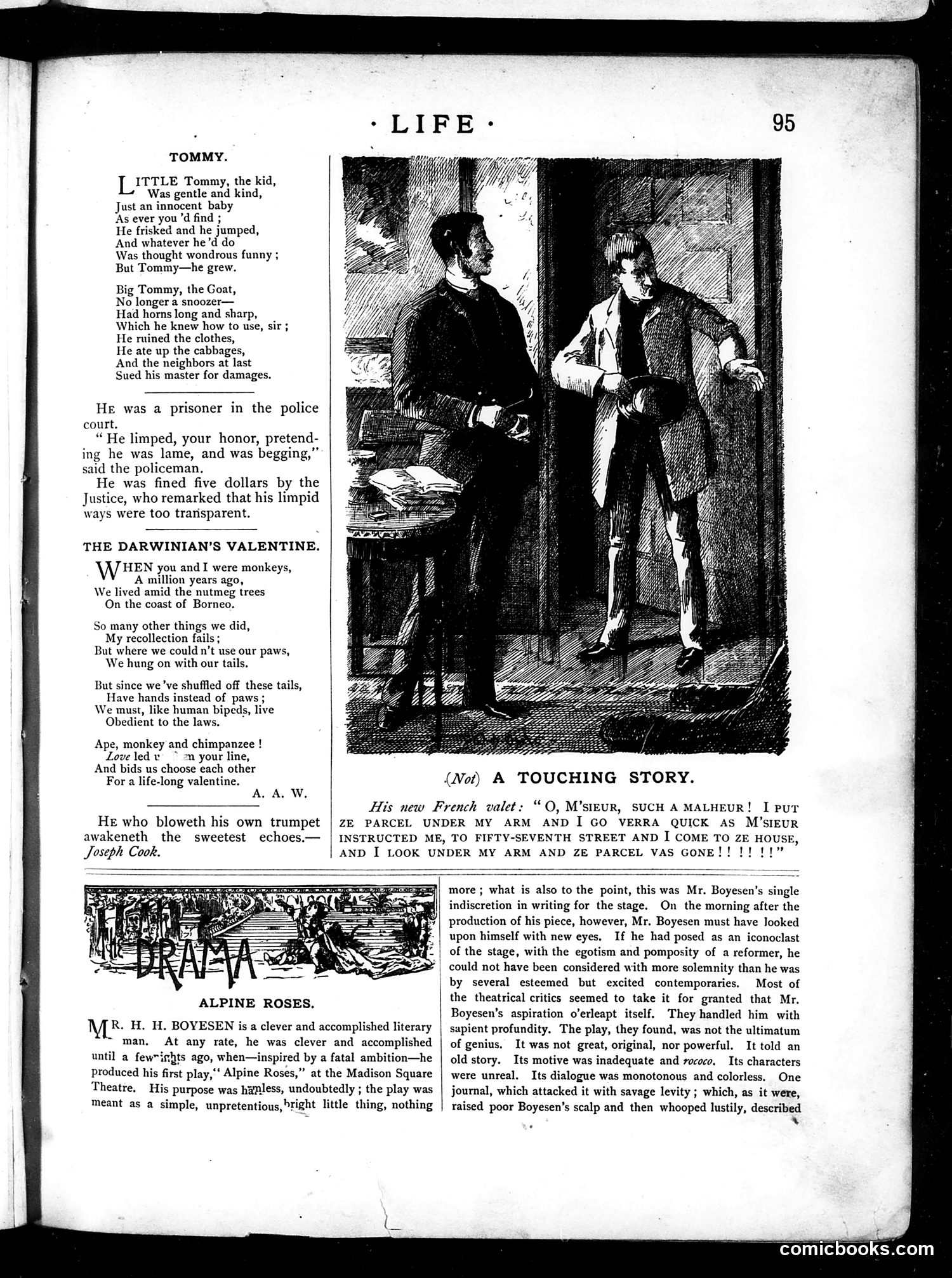 Life — February 14, 1884 — page 11 of 16