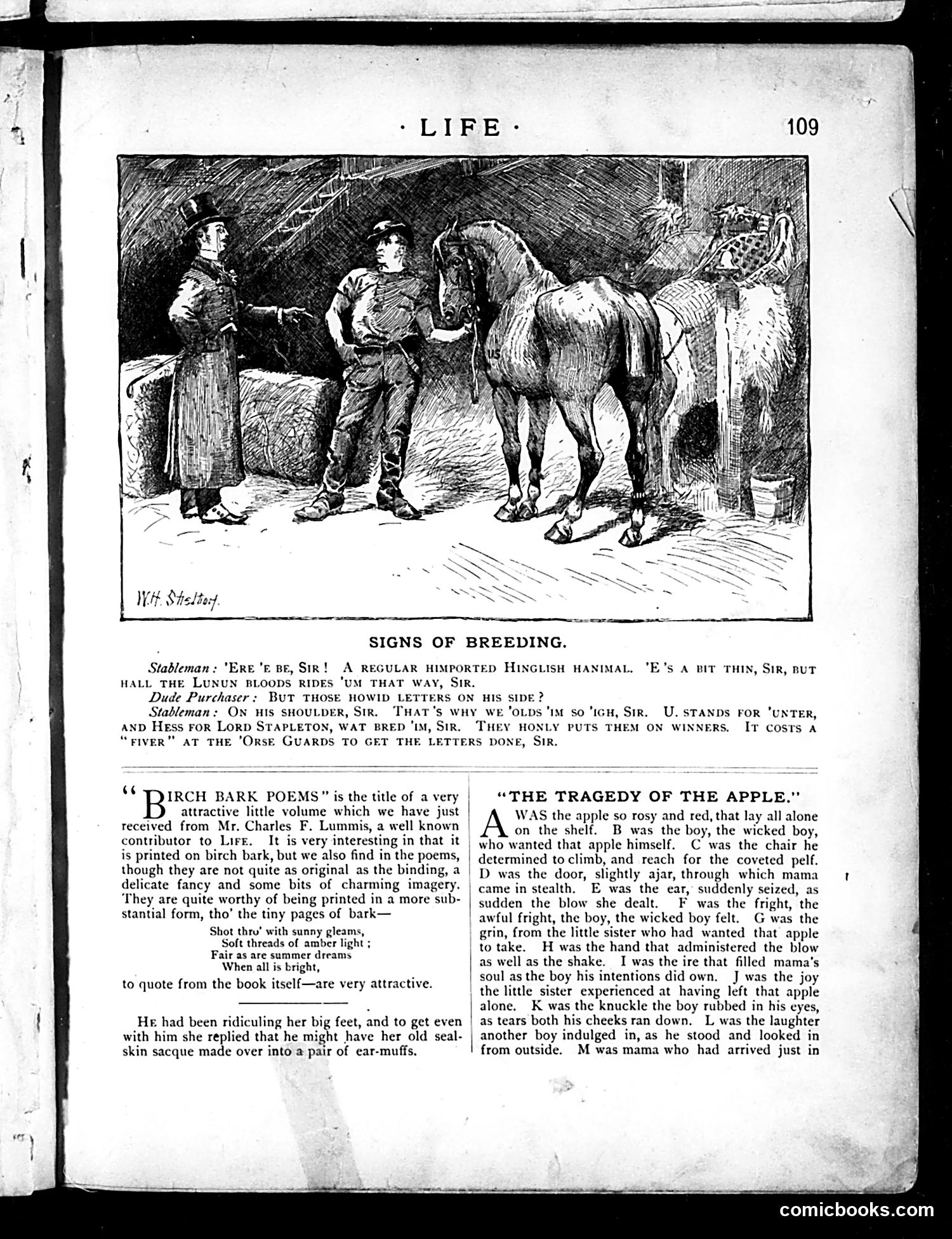 Life — February 21, 1884 — page 11 of 16