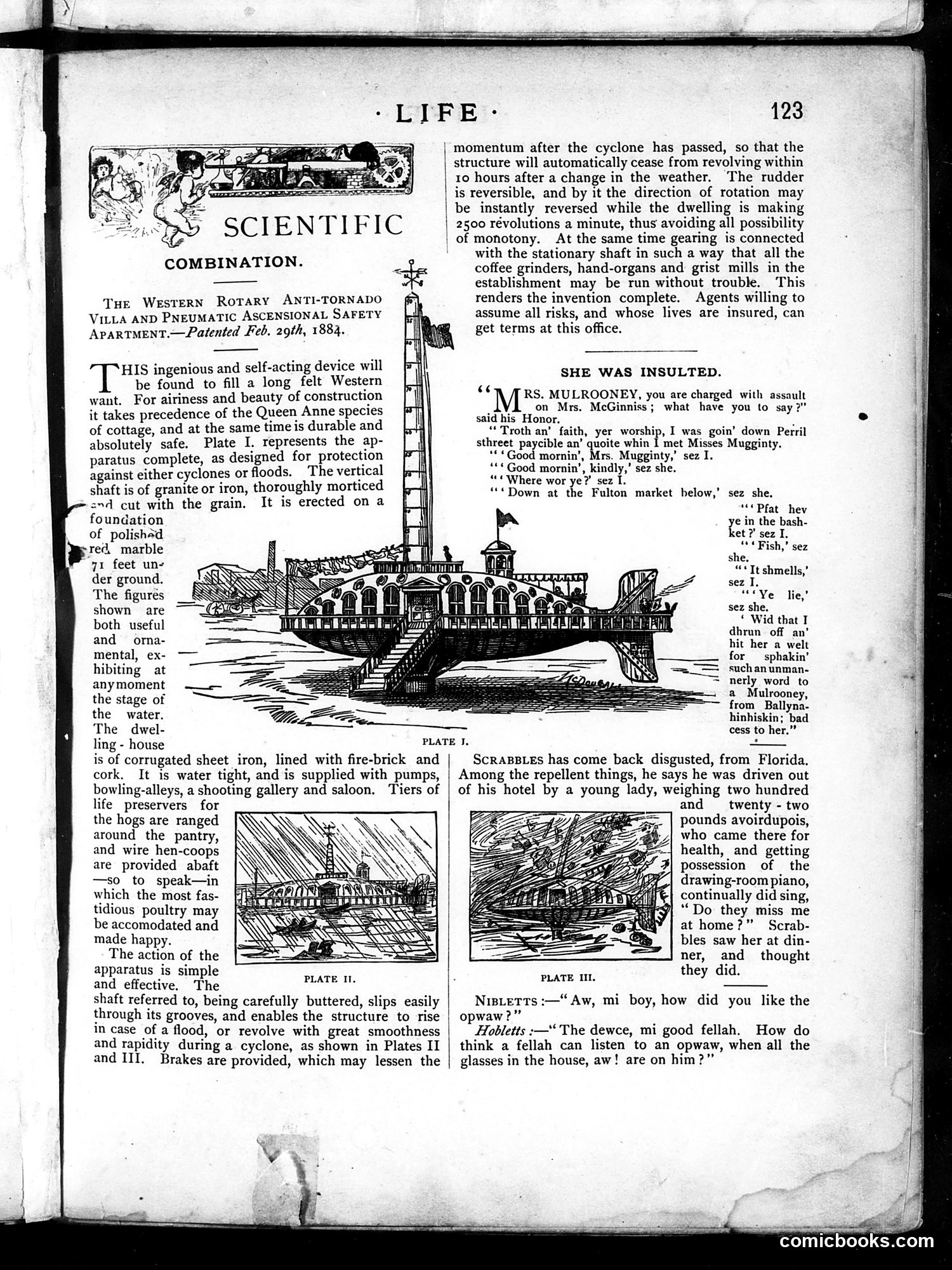 Life — February 28, 1884 — page 11 of 14