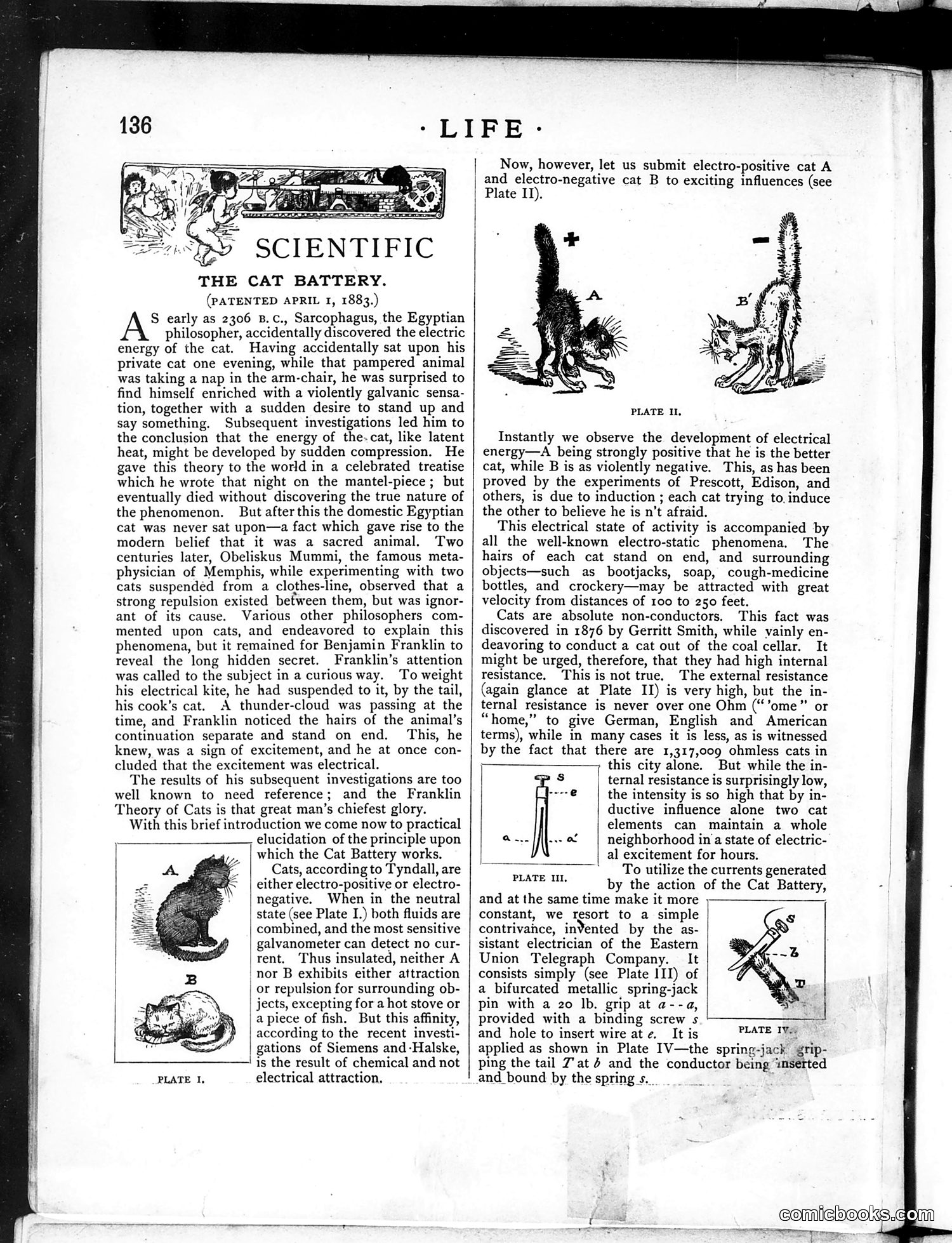 Life — March 6, 1884 — page 10 of 16