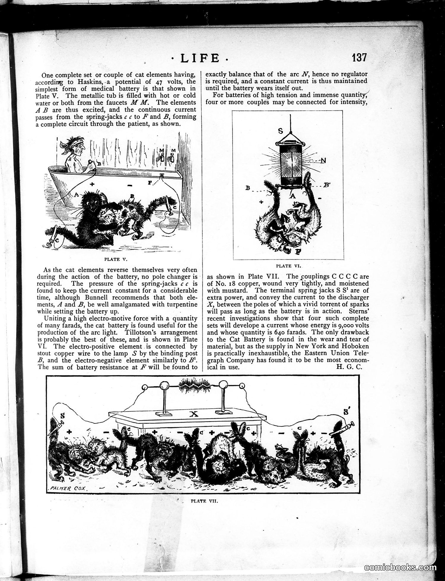Life — March 6, 1884 — page 11 of 16