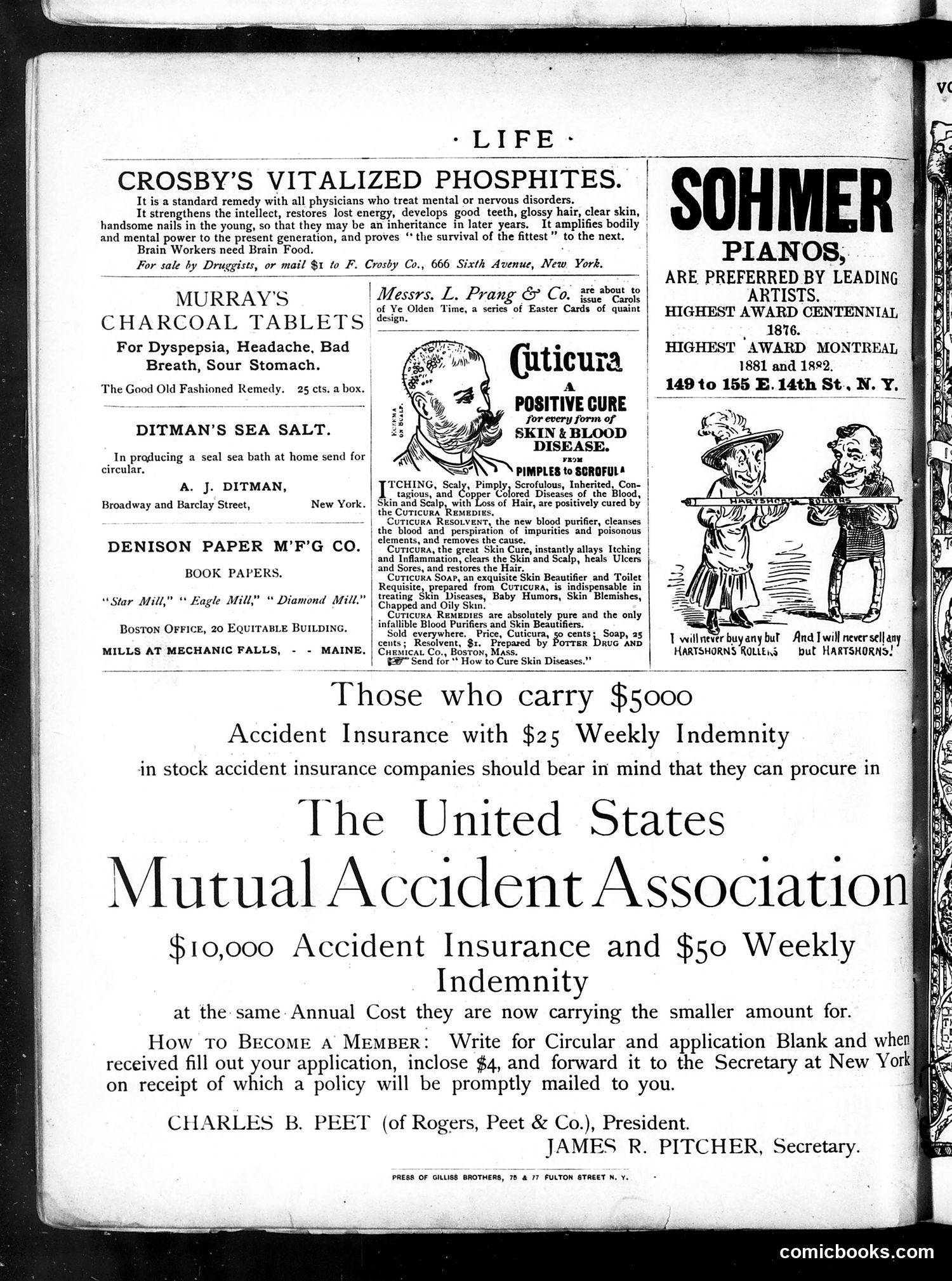 Life — March 6, 1884 — page 16 of 16