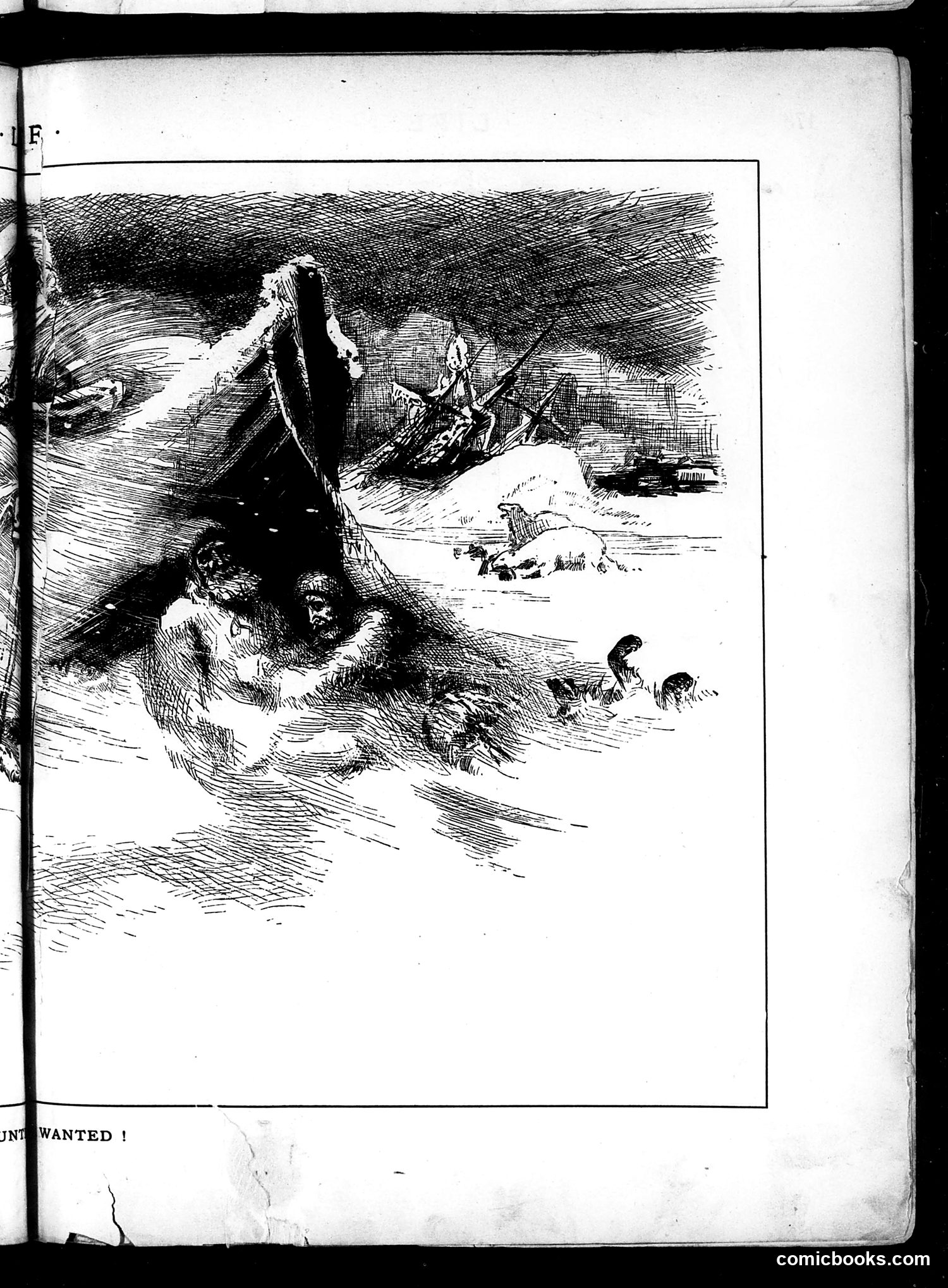 Life — March 27, 1884 — page 9 of 16