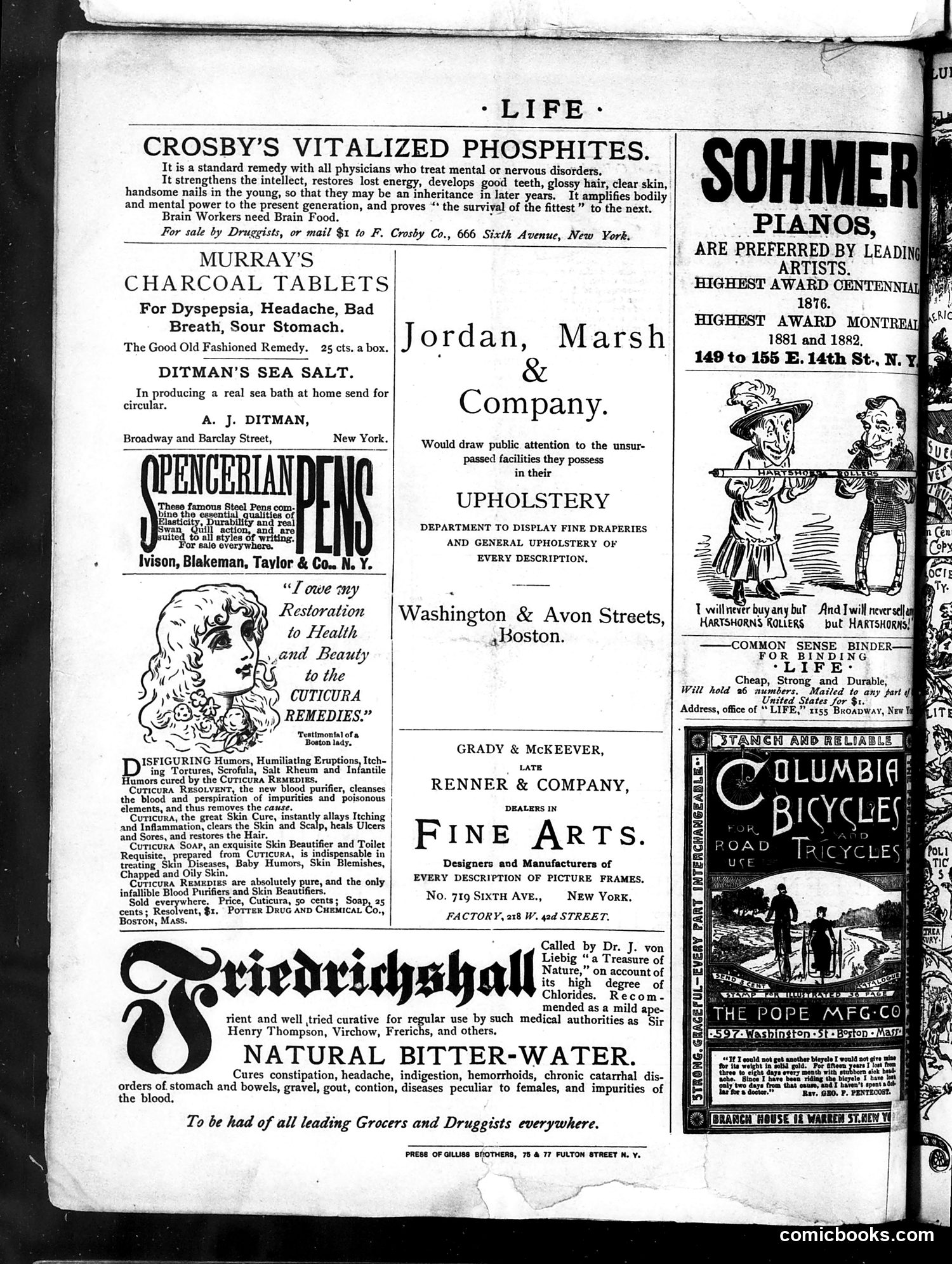 Life — April 3, 1884 — page 16 of 16