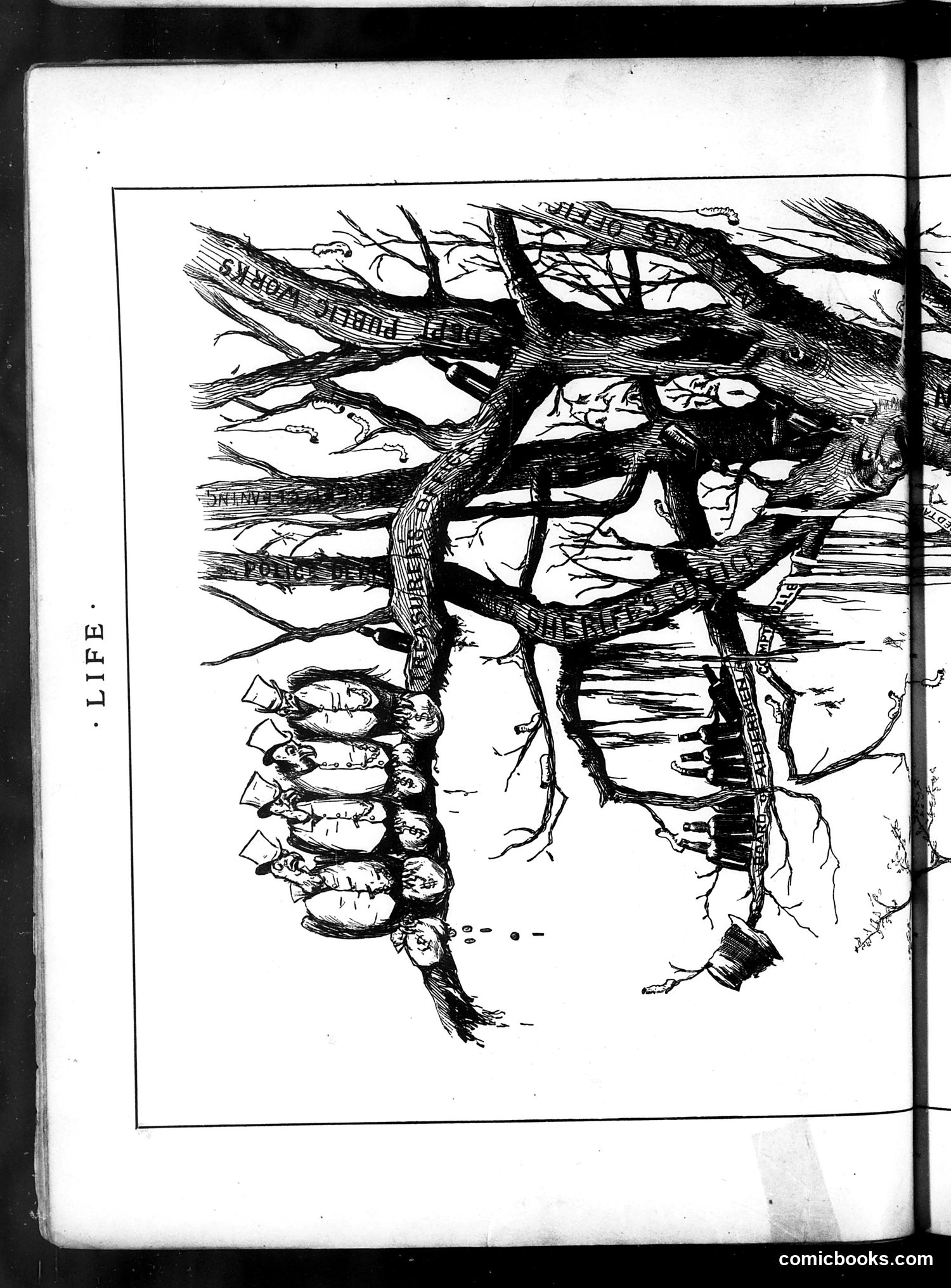 Life — April 17, 1884 — page 8 of 16