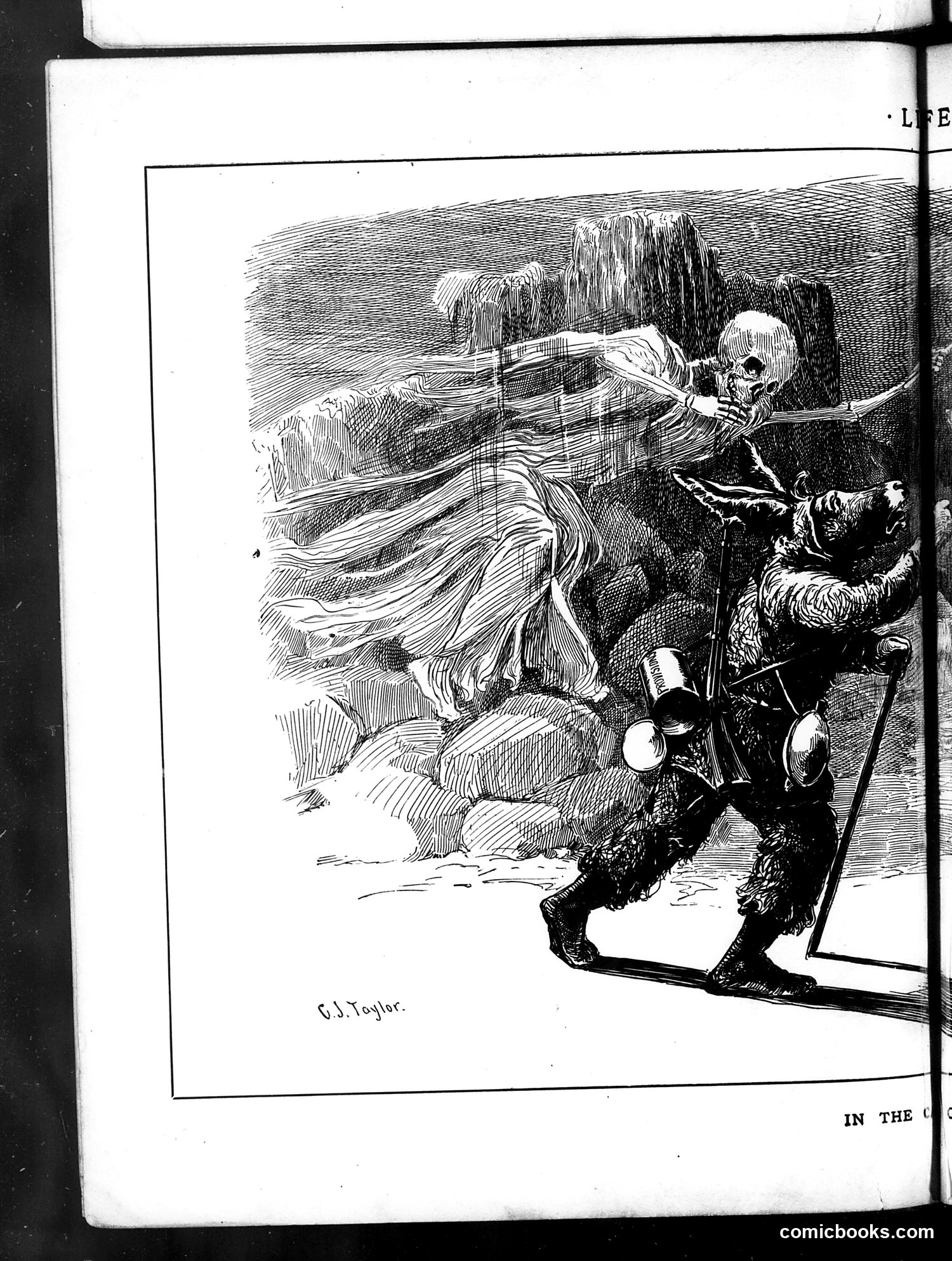 Life — May 1, 1884 — page 8 of 16